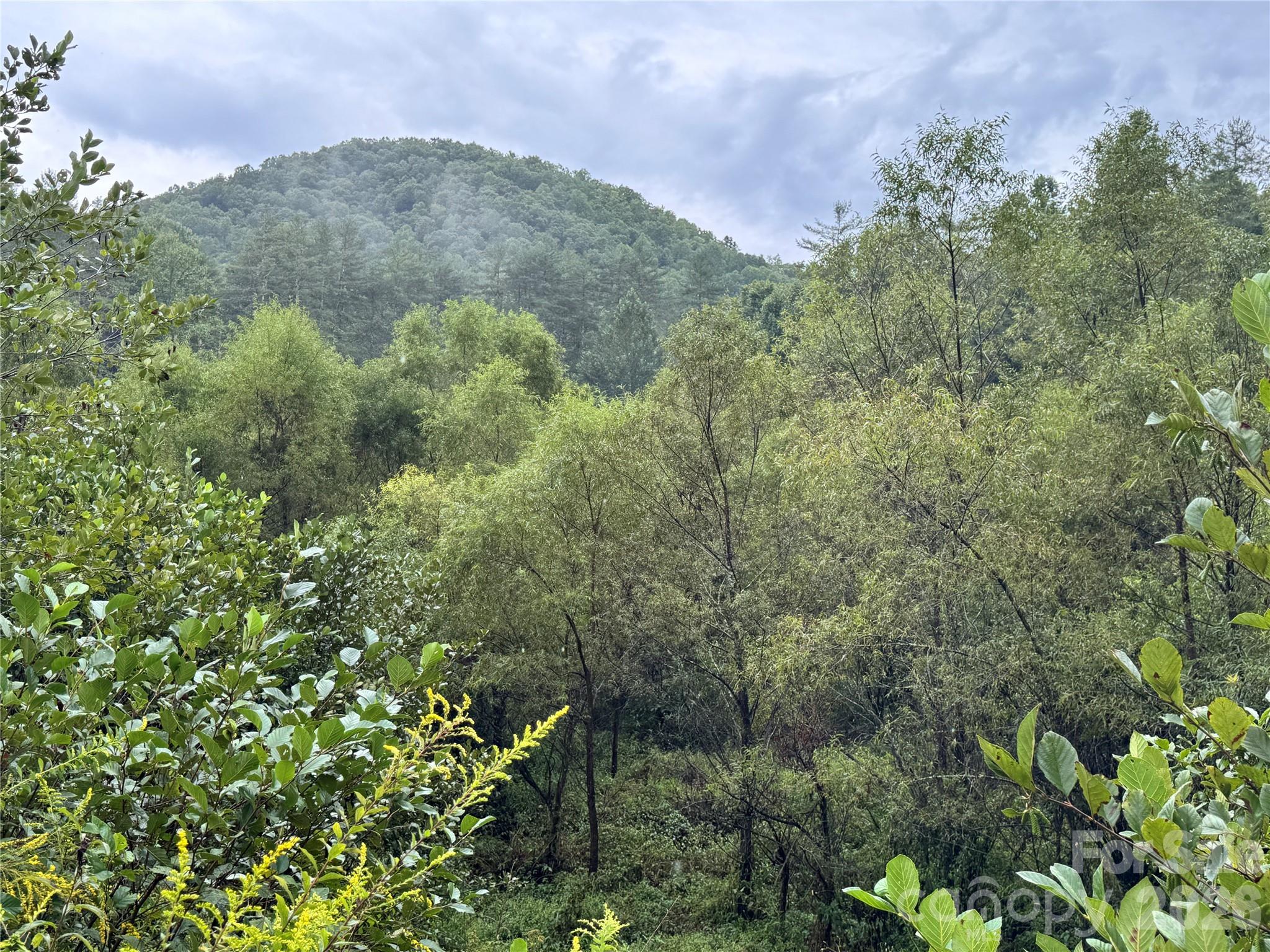 361 Rooster Cove