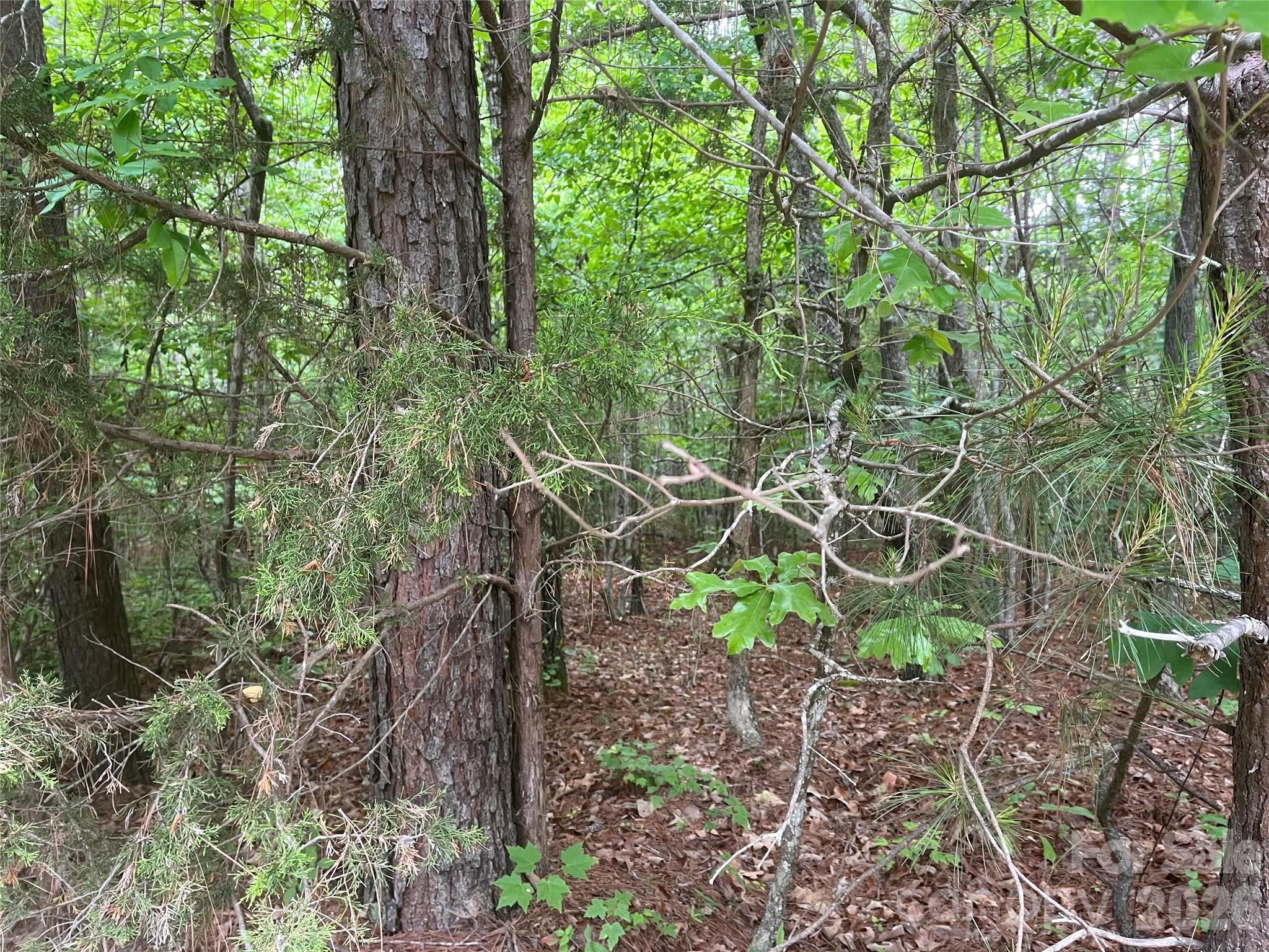 2426 Ore Bank Road
