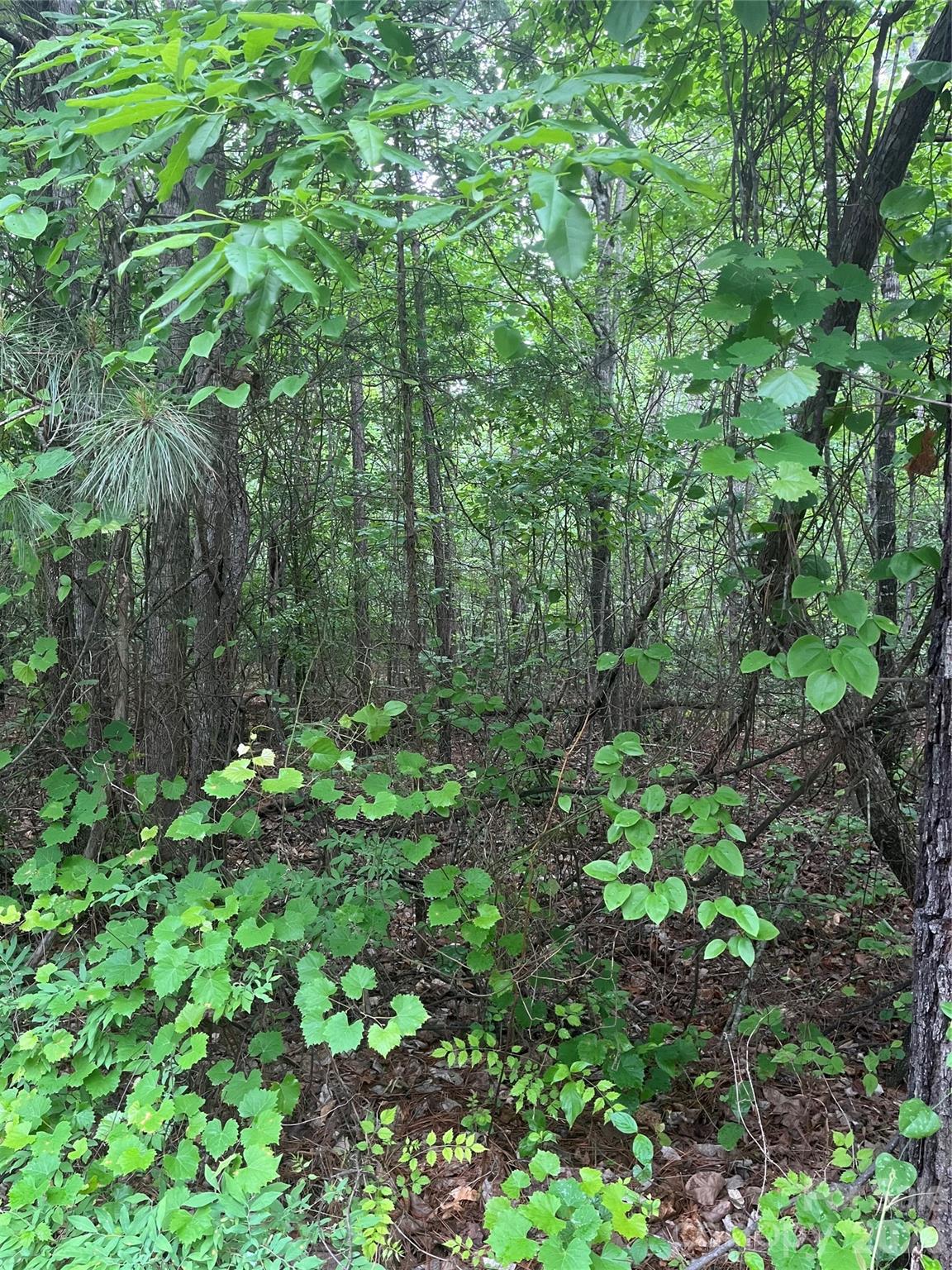 2426 Ore Bank Road