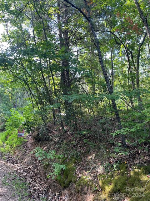 99999 High Top Mountain Road Leicester NC 28748