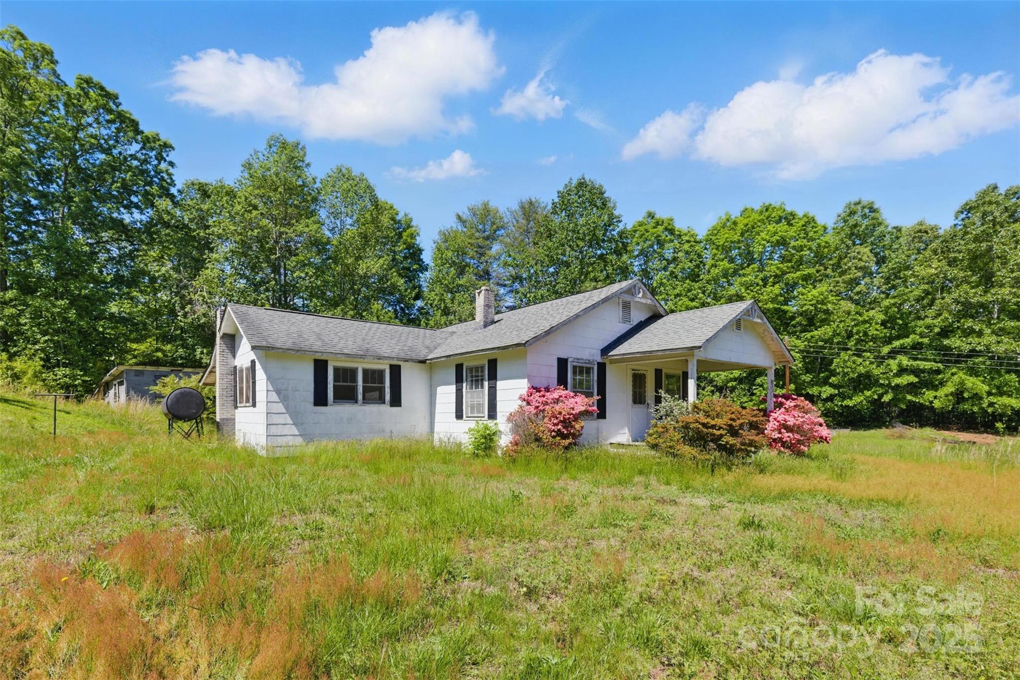 3118 Mineral Springs Mountain Road