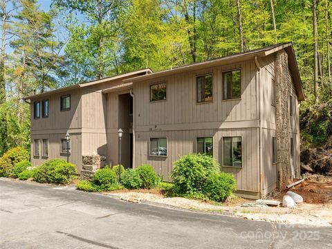 55 Lake Drive 4P Hendersonville NC 28739
