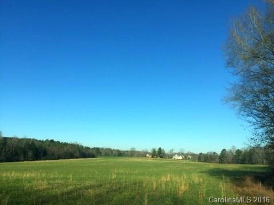 Location! Location!, Location! Endless opportunities abound on this beautiful parcel of land. Centrally located to Lake Wylie, Rock Hill and Clover. Open pasture land for a drop dead gorgeous farm or development. Clost proximity to the award winning Clover Schools. Road frontage on Paraham Rd and Hwy 55. Well & septic options at buyer's expense.