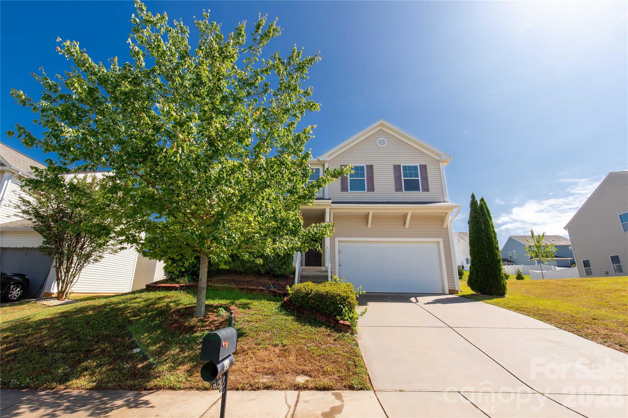493 Dutch White Drive