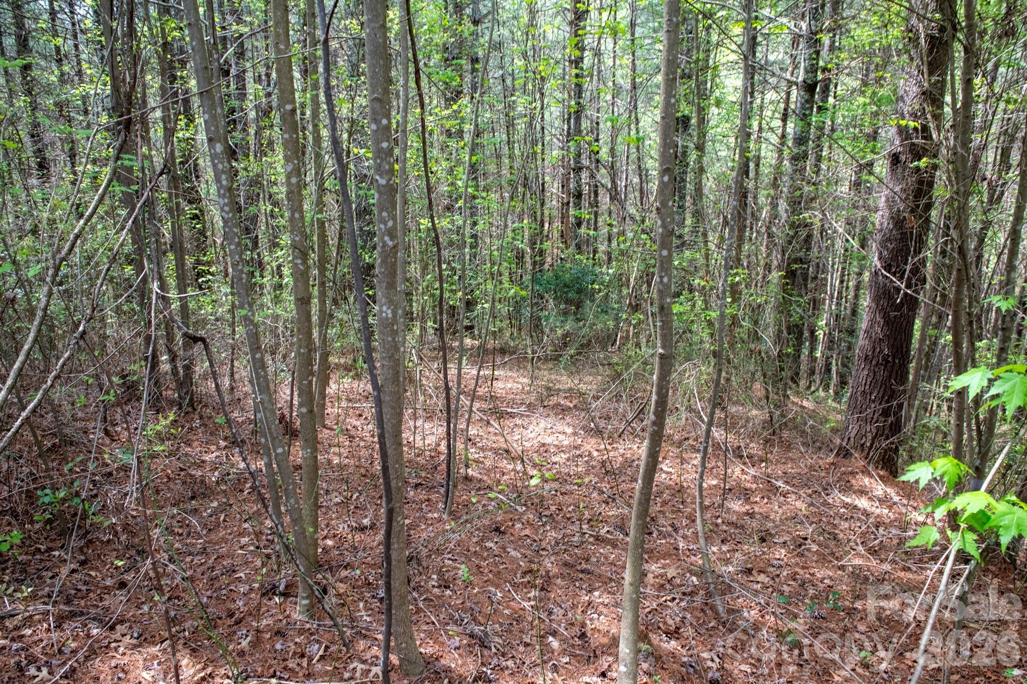 The Bluffs of Wilson Creek - Land