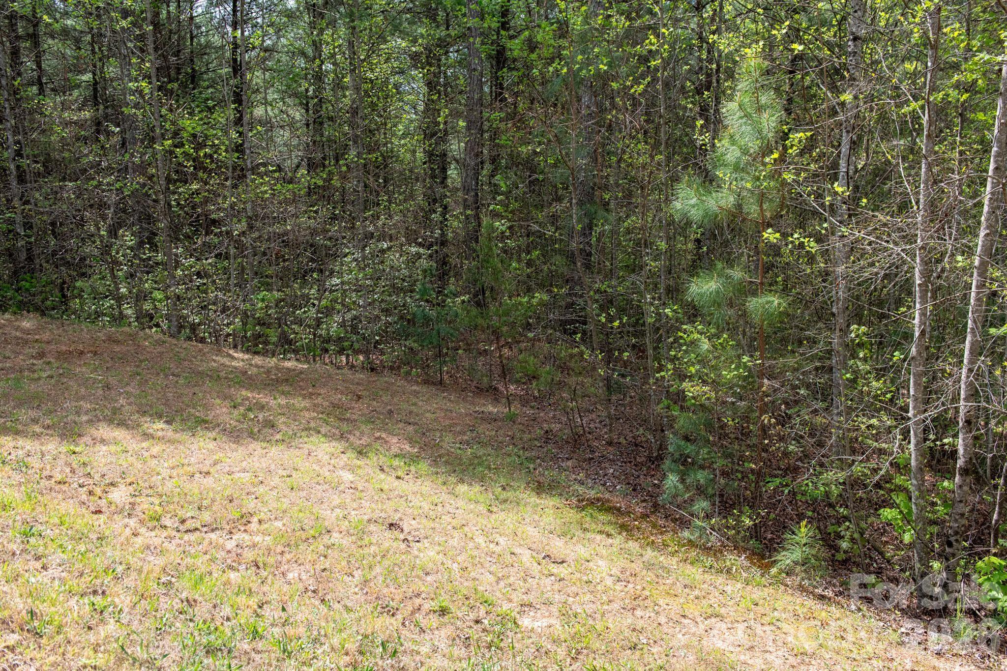 The Bluffs of Wilson Creek - Land