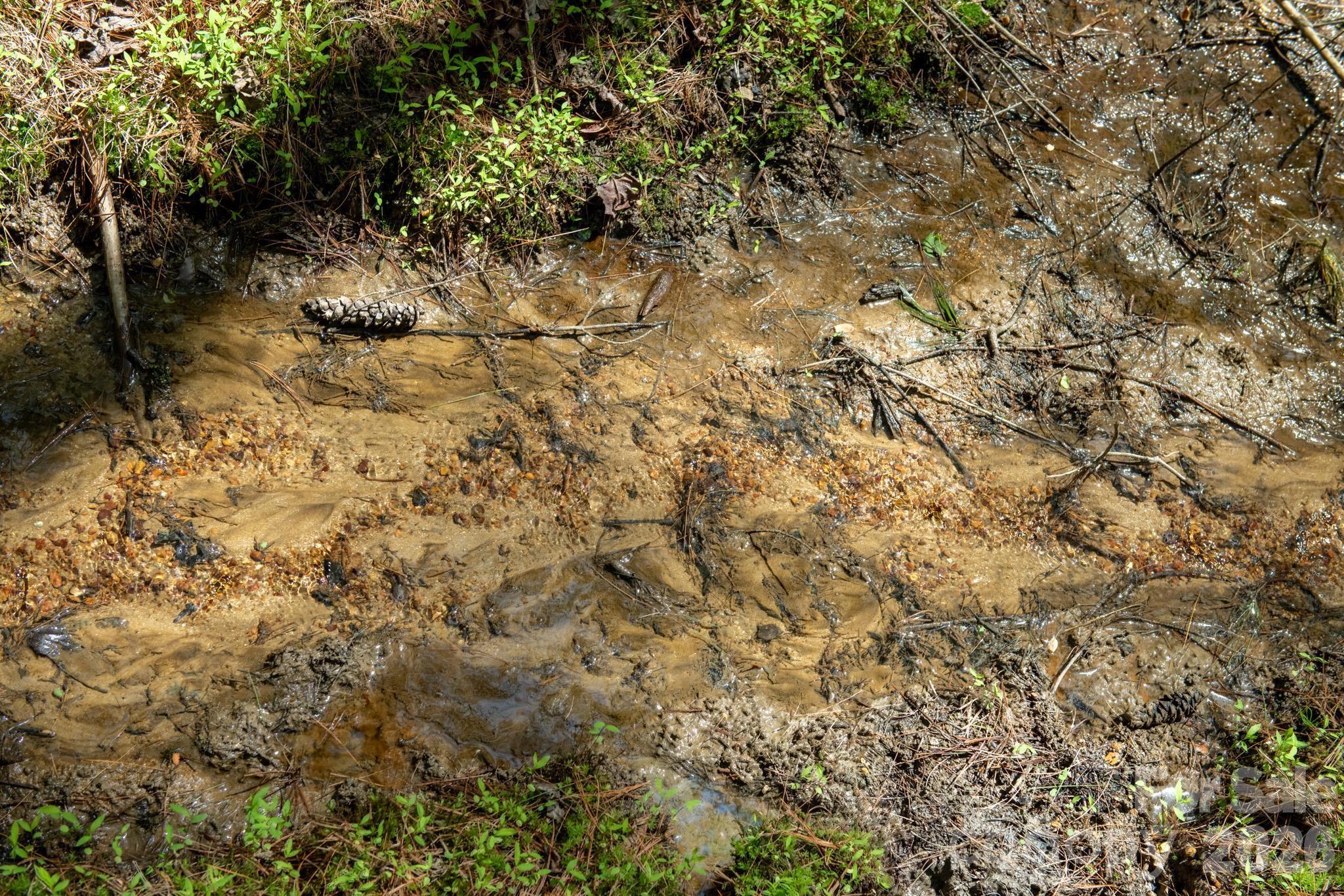 The Bluffs of Wilson Creek - Land