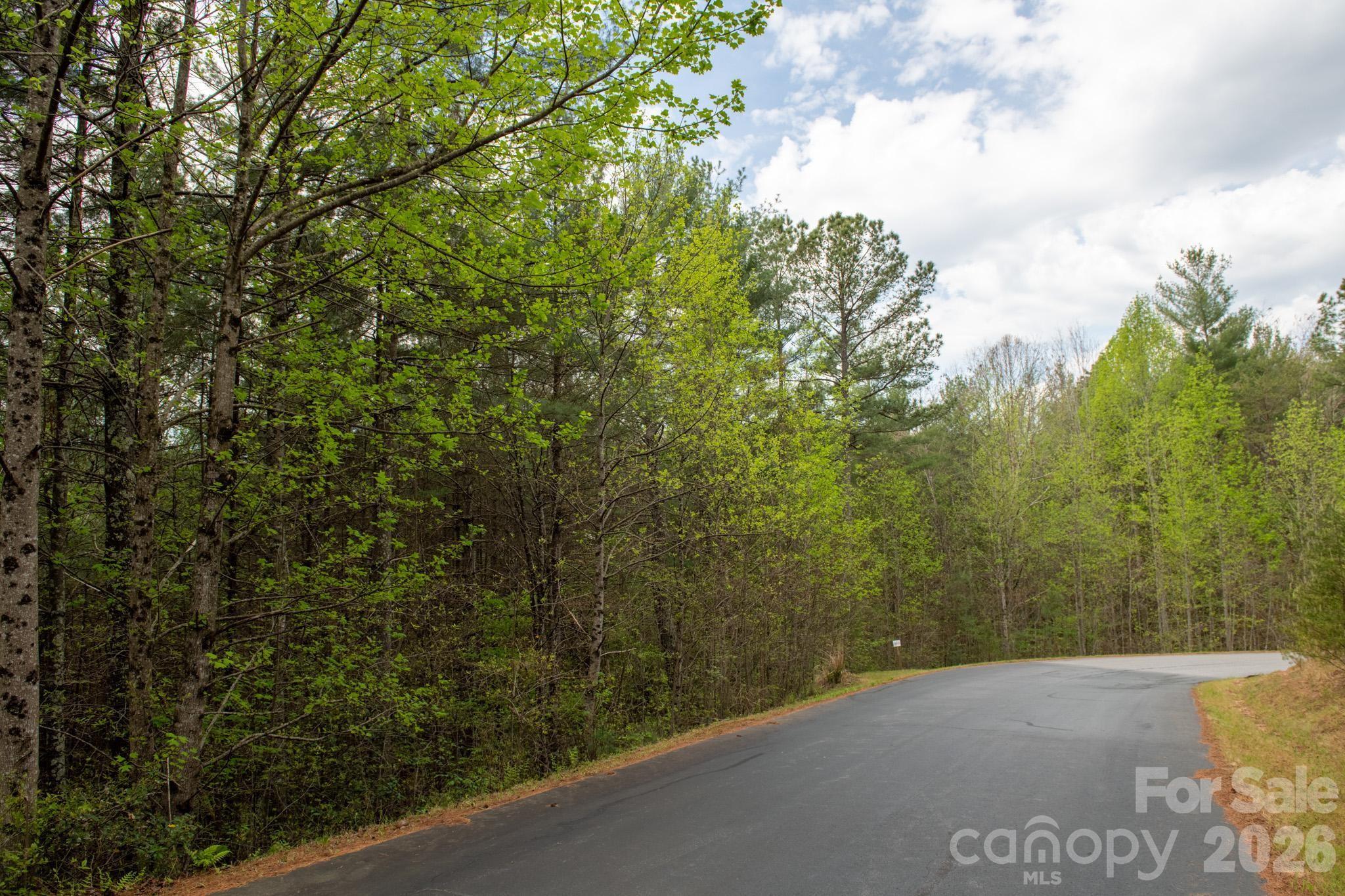 The Bluffs of Wilson Creek - Land