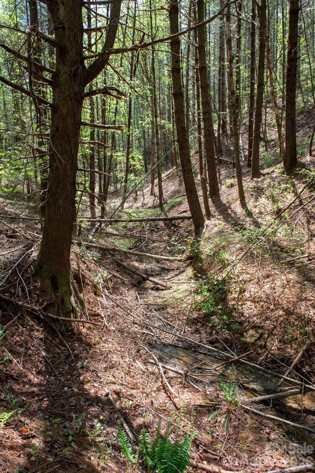 The Bluffs of Wilson Creek - Land
