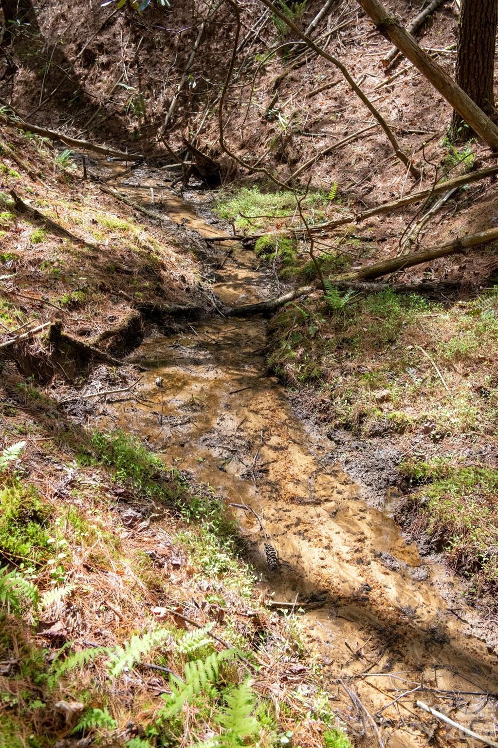 The Bluffs of Wilson Creek - Land