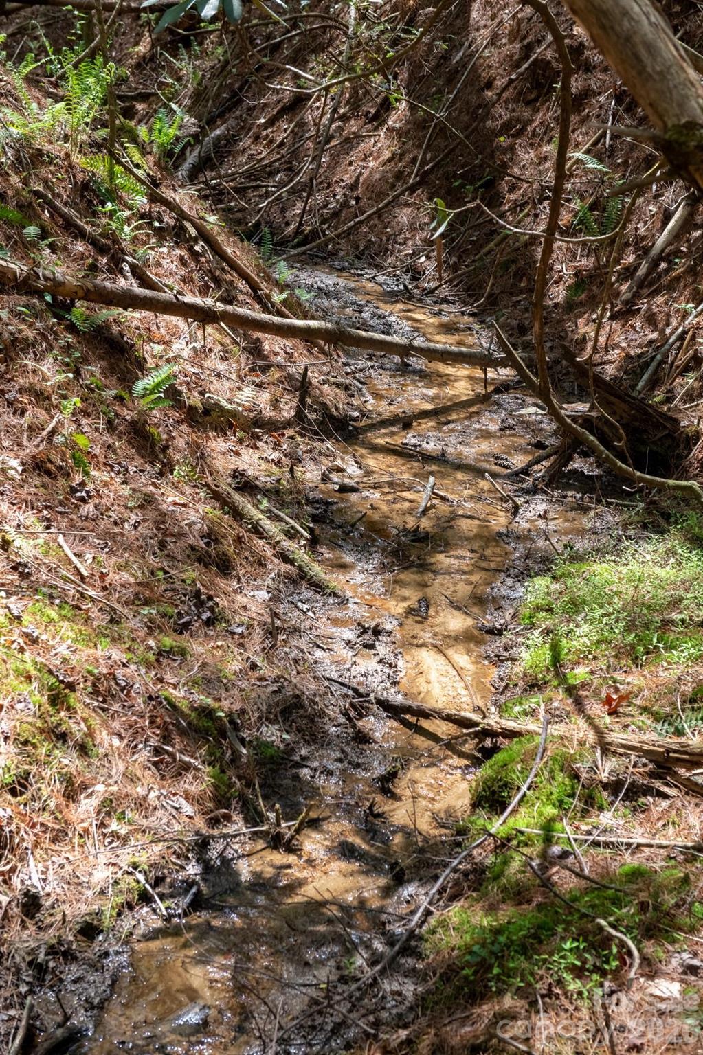 The Bluffs of Wilson Creek - Land