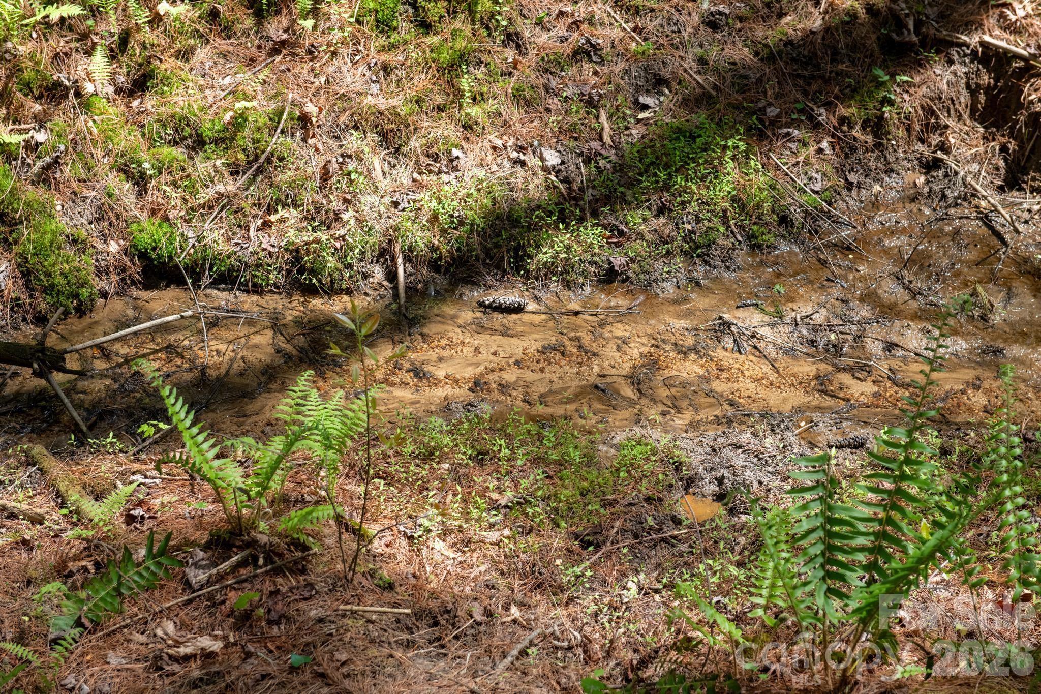 The Bluffs of Wilson Creek - Land