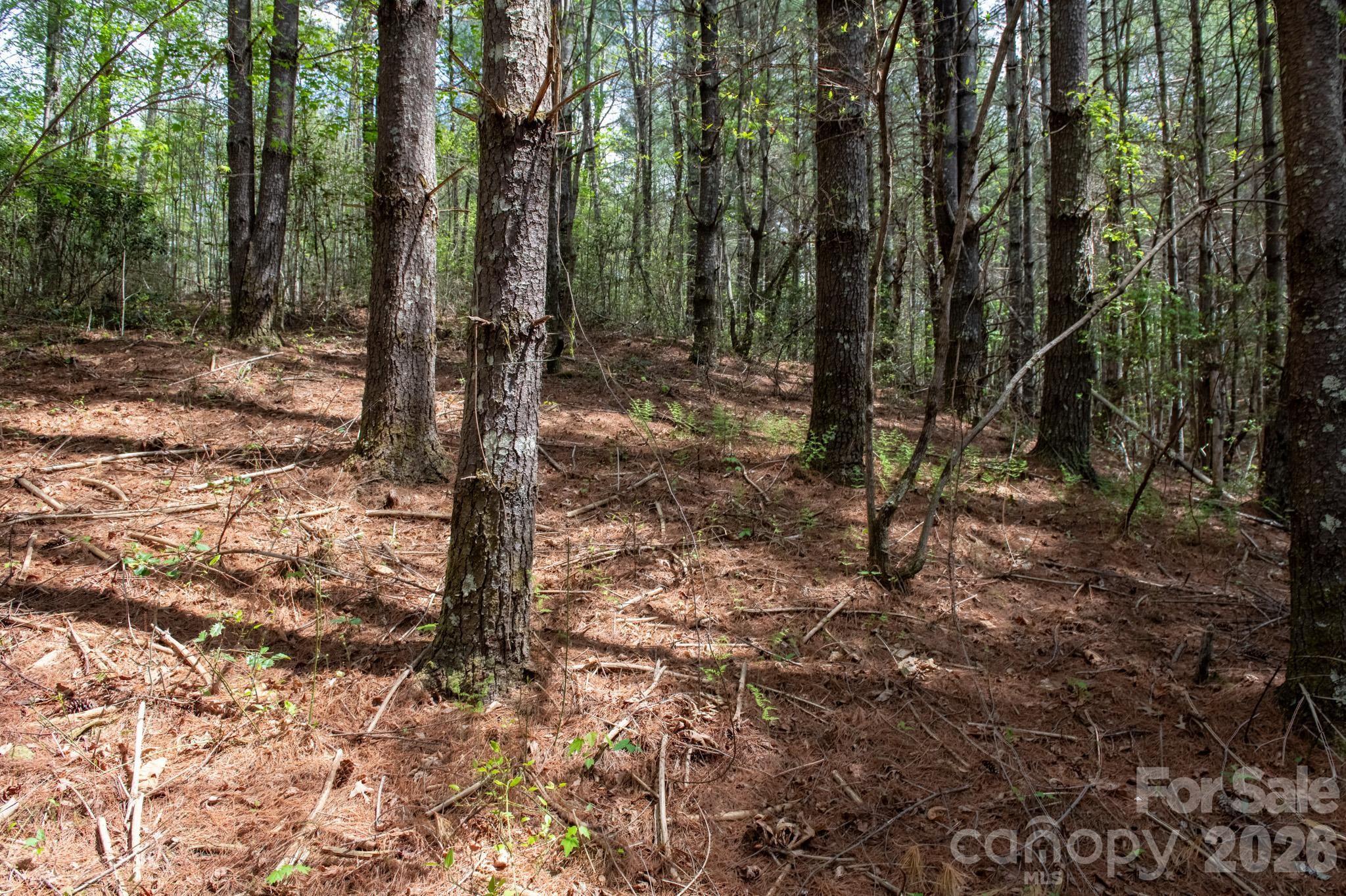 The Bluffs of Wilson Creek - Land