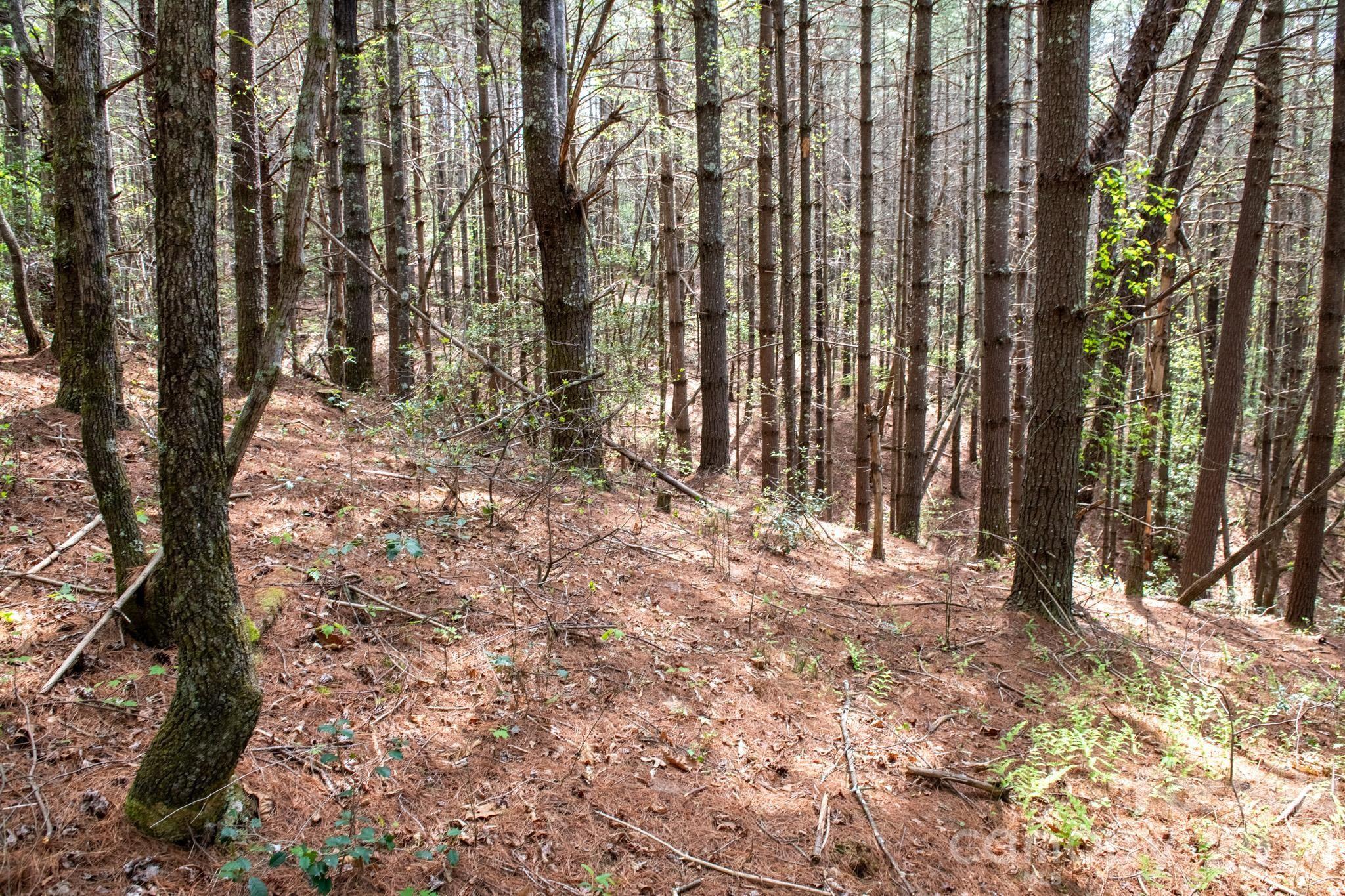 The Bluffs of Wilson Creek - Land