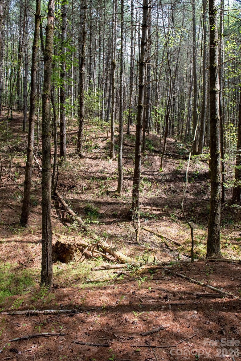 The Bluffs of Wilson Creek - Land