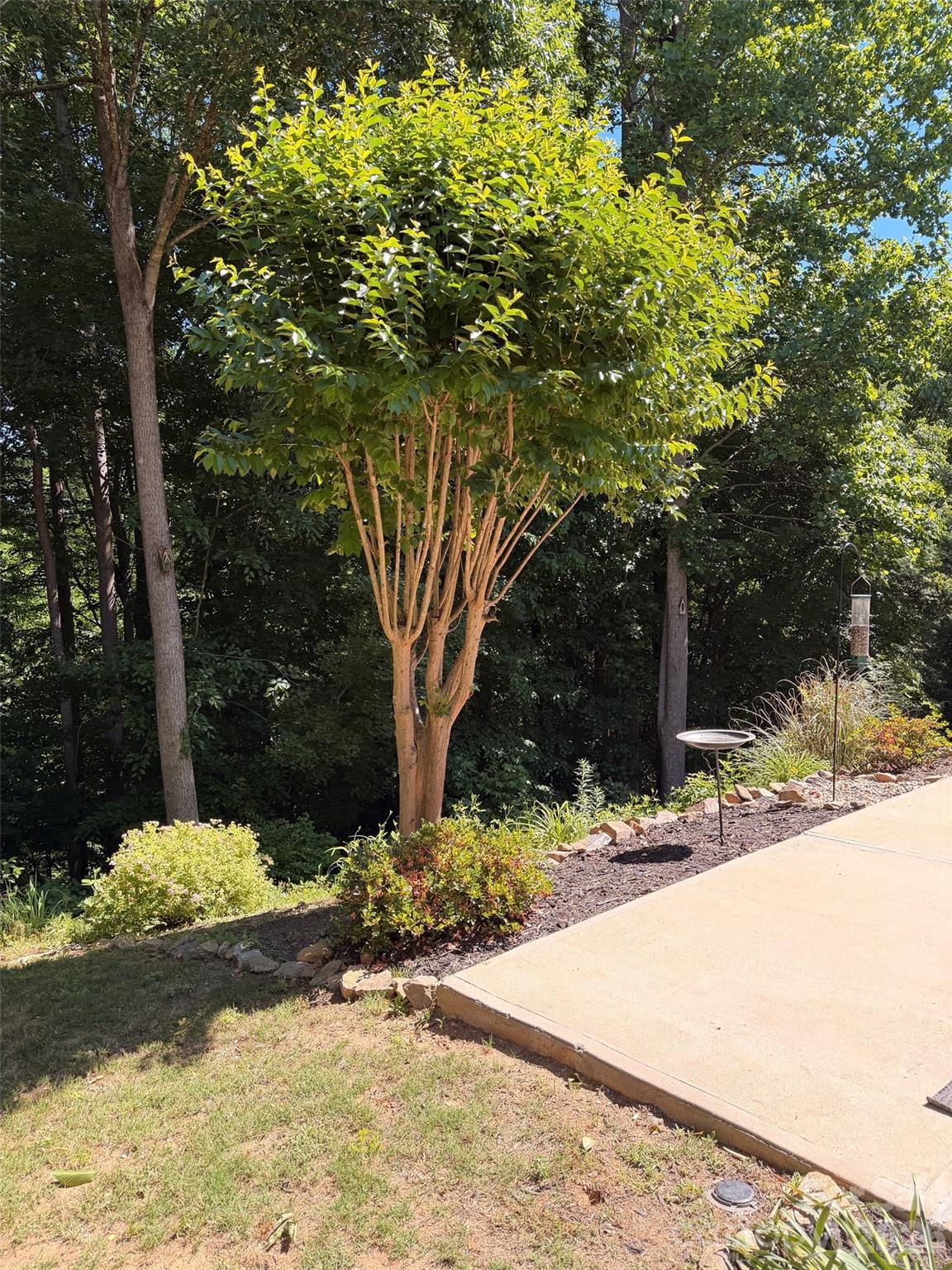 Stowe Pointe - Residential