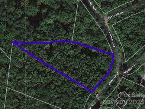  in Lake Lure NC Lot 6 Whitney Boulevard.jpg