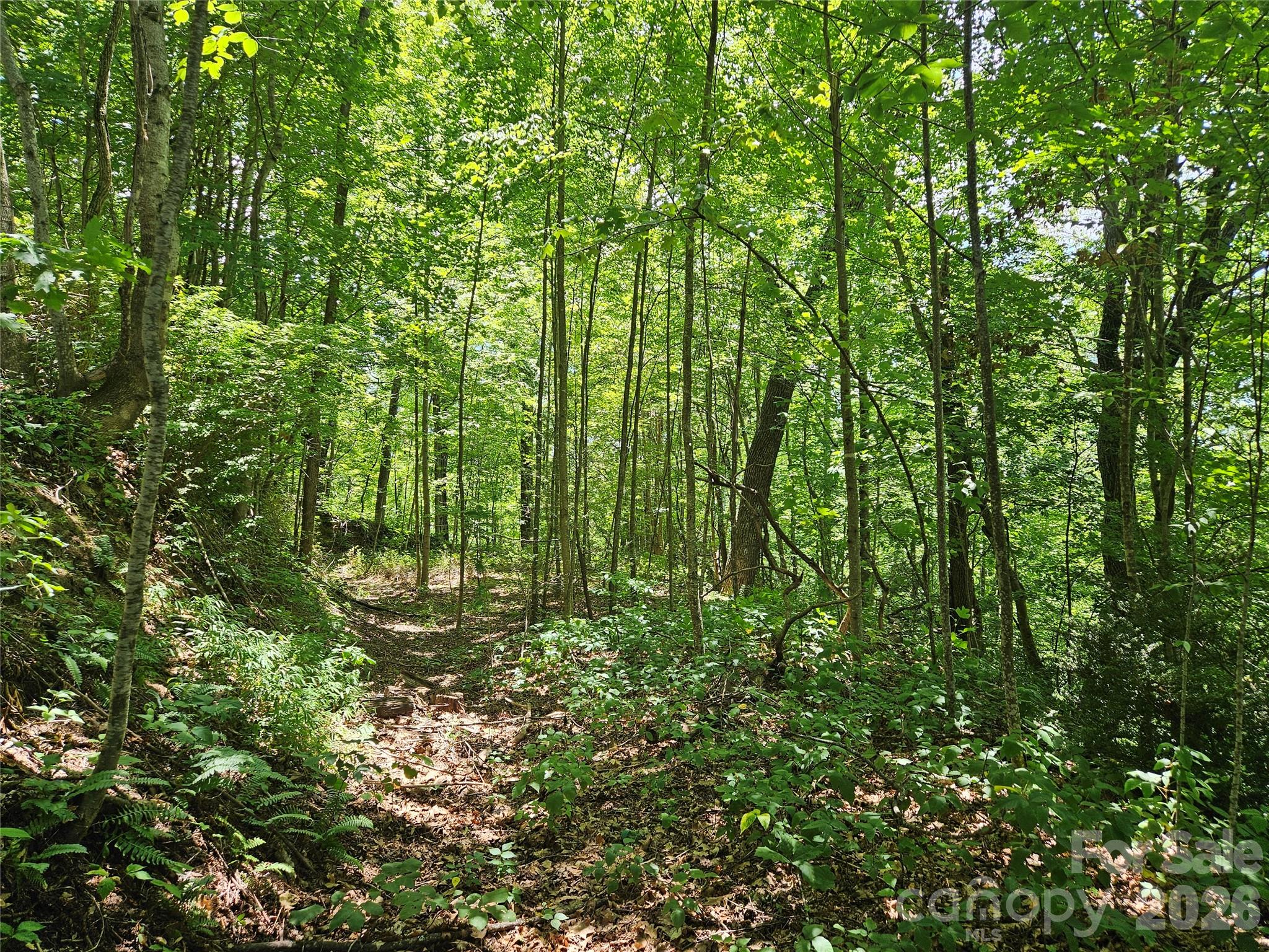 Country Club Cove - Land