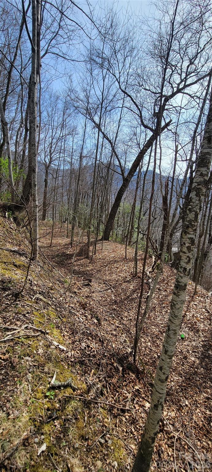 Country Club Cove - Land