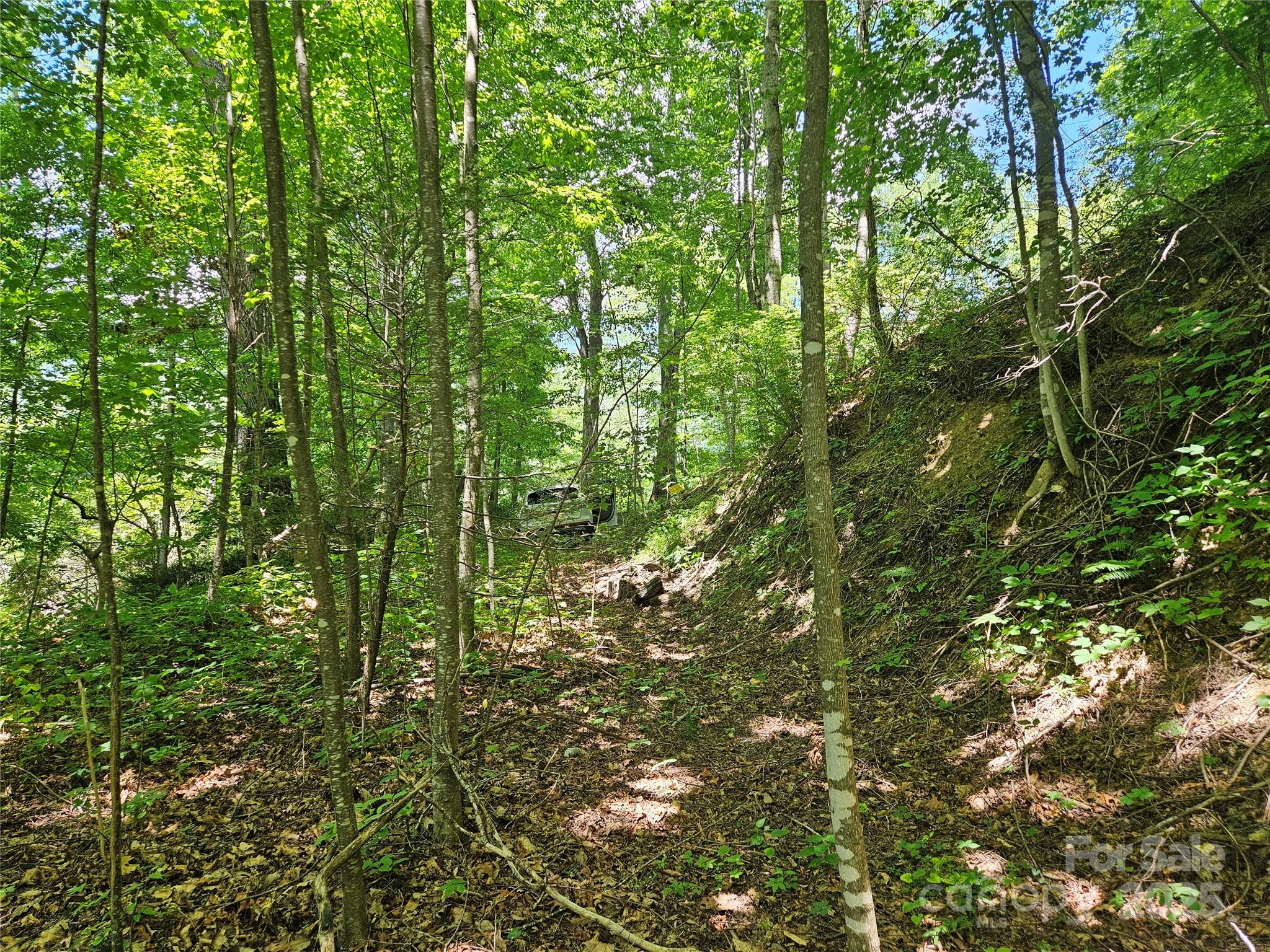 99999 Maplewood Drive