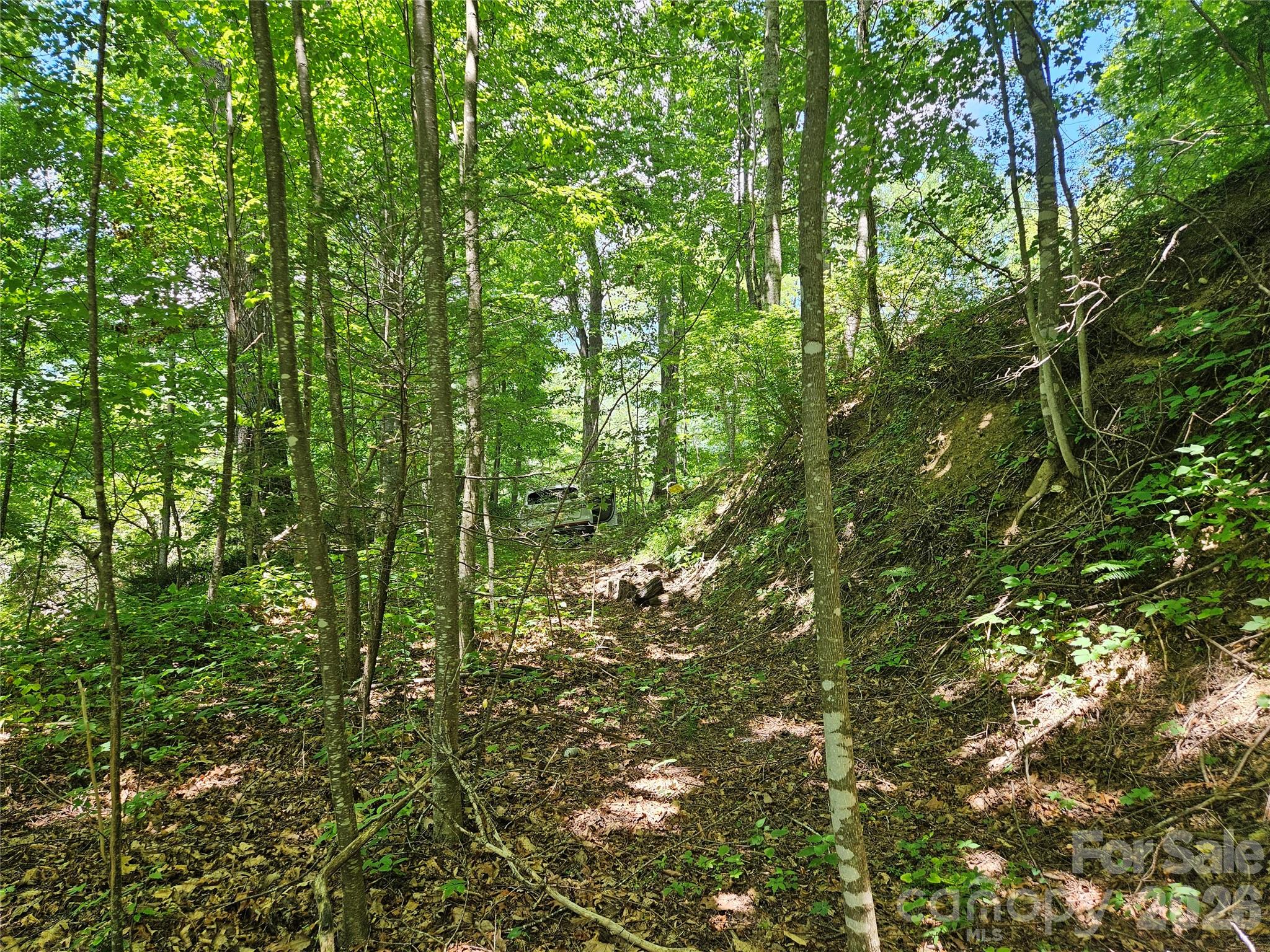 Country Club Cove - Land