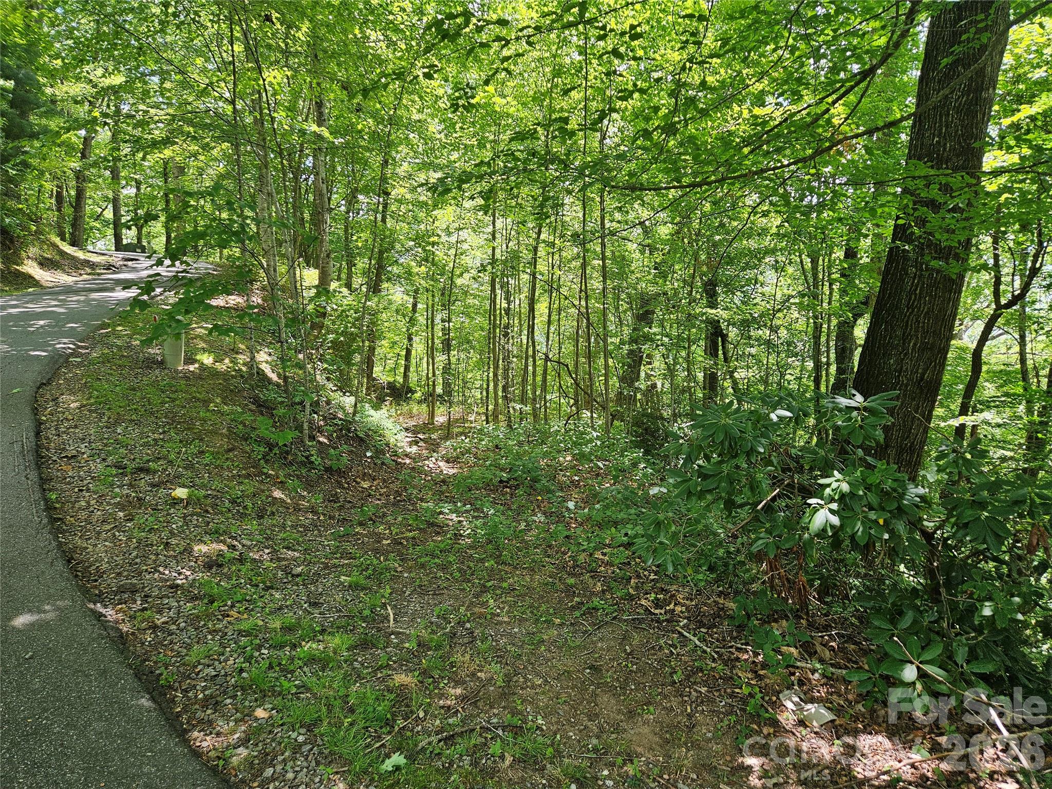 Country Club Cove - Land