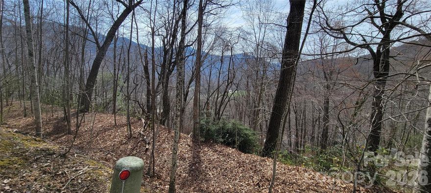 Lot situated in the Maggie Valley Country Club with little to no restrictions.  Potential for year round views with thinning of trees.  Public water available, septic needs to be installed. If needed there is a septic easement available on lot across the street. Level area on lot was graded prior to seller's purchase.