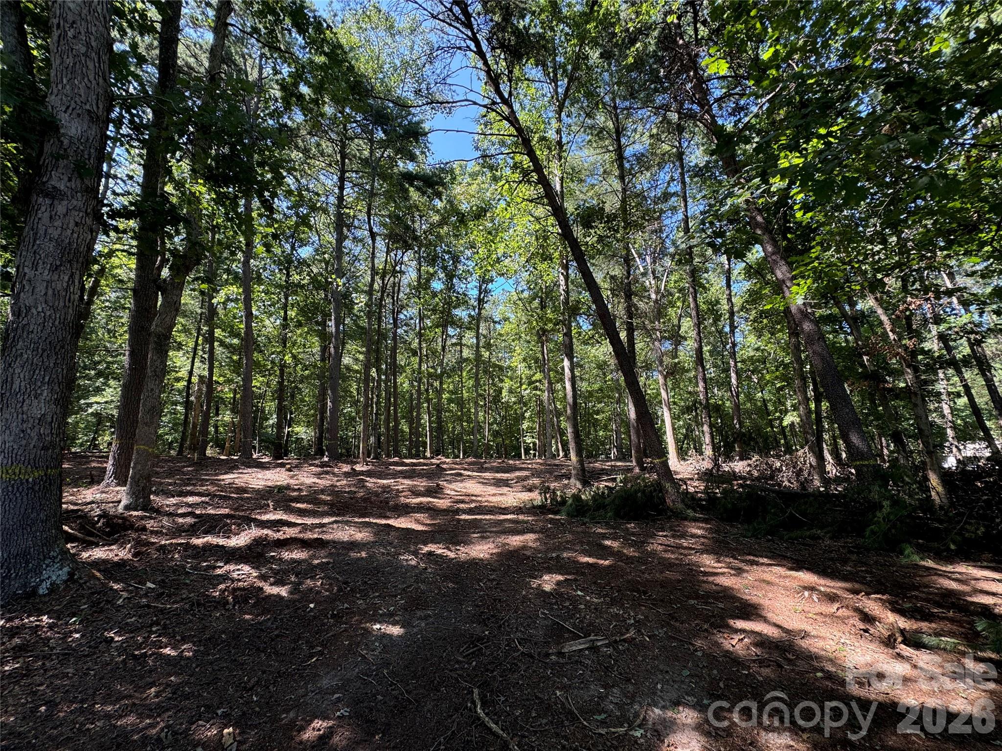 4941 Helton Road