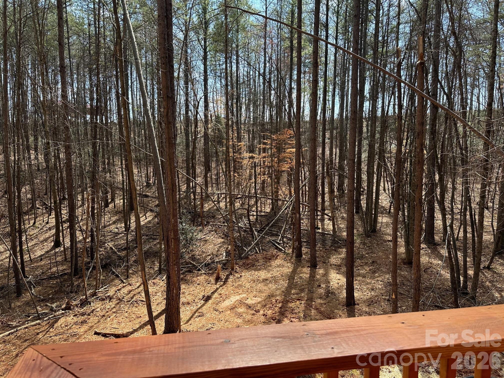 Deer Run at Lake Lure - Residential