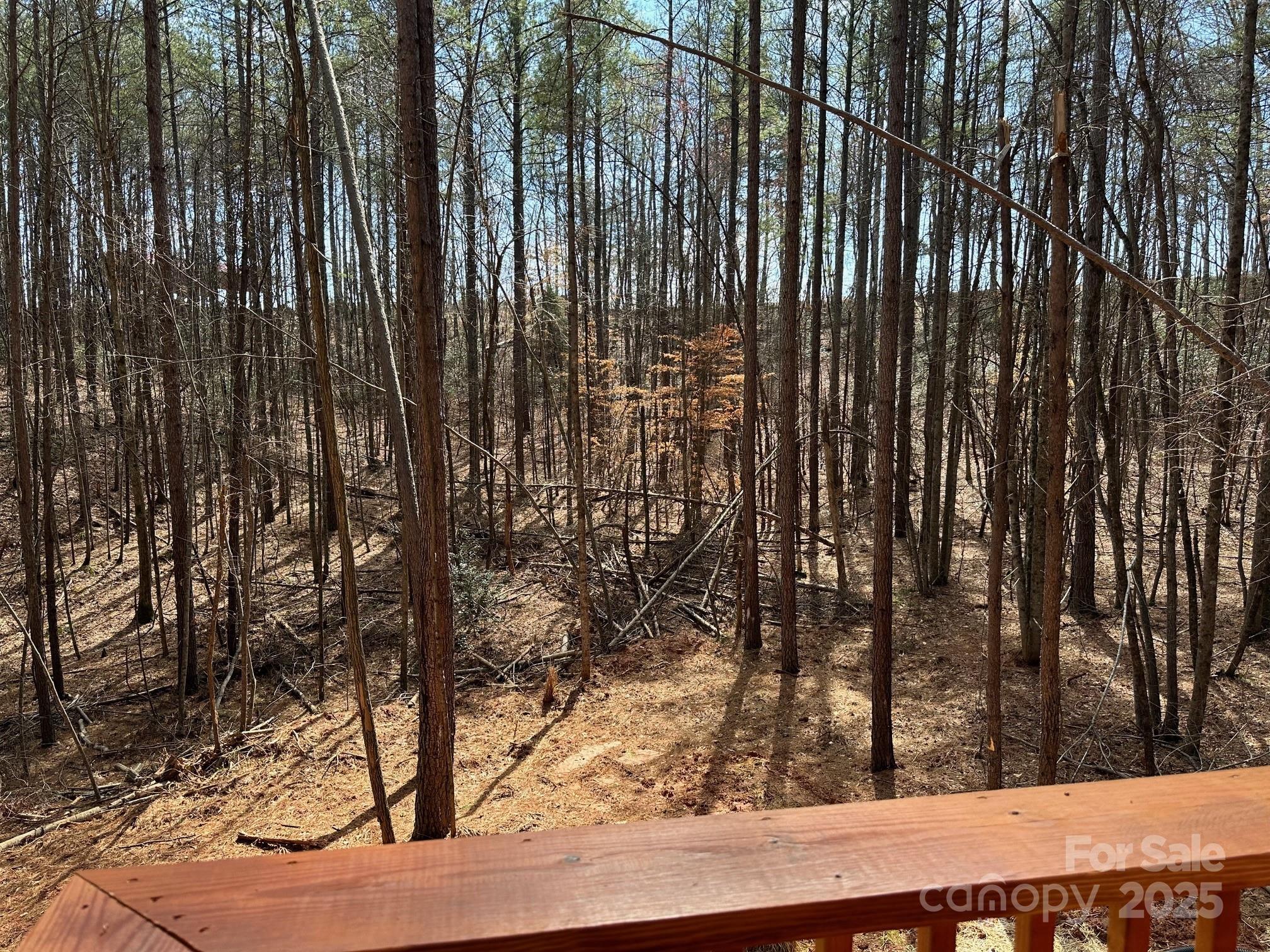 Deer Run at Lake Lure - Residential