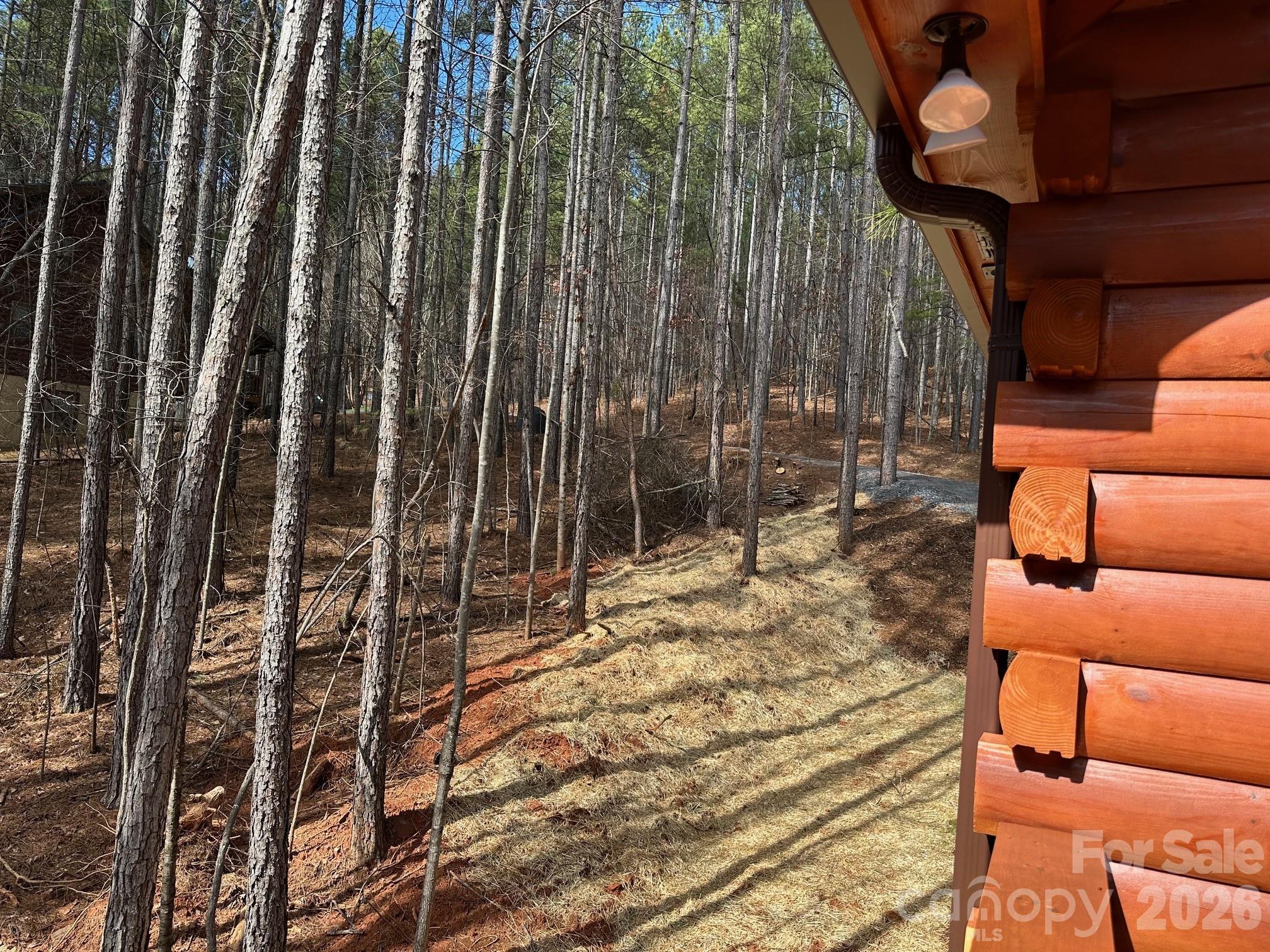 Deer Run at Lake Lure - Residential