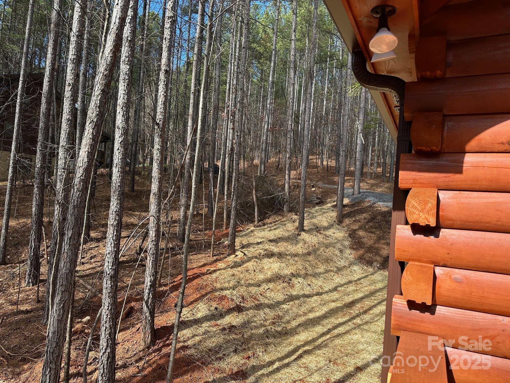 Deer Run at Lake Lure - Residential