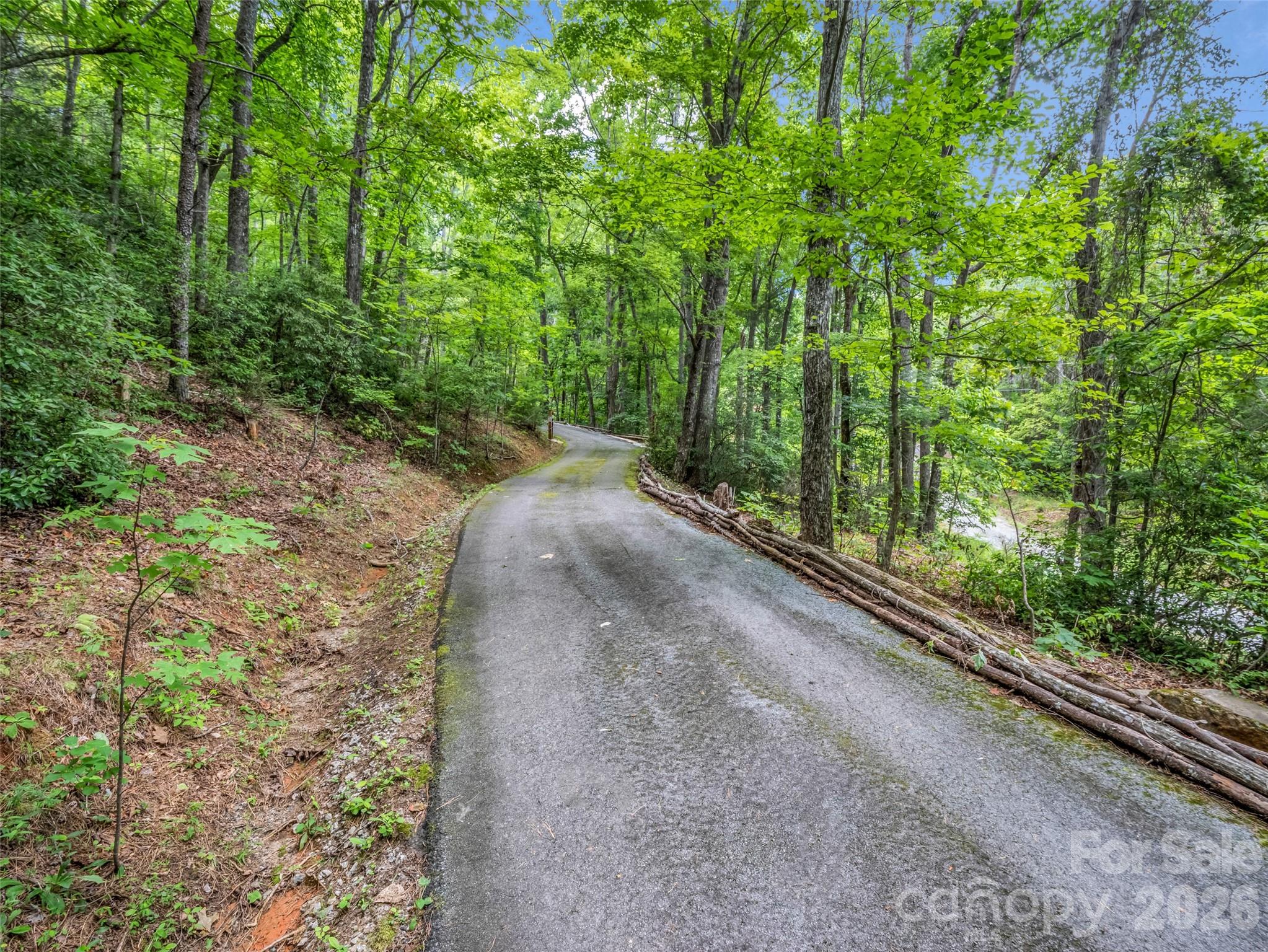 Lake Lure Living - Residential