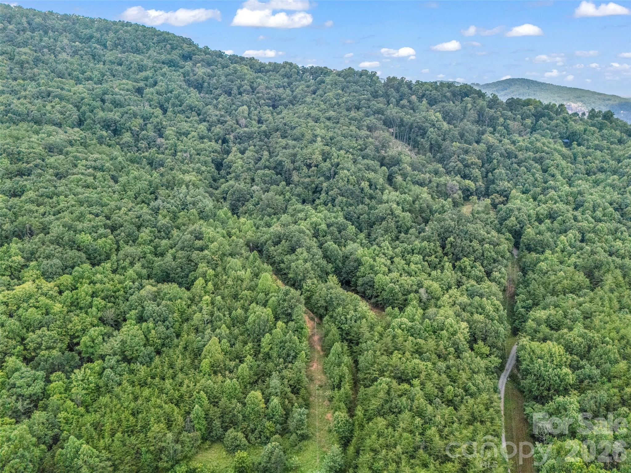 Lake Lure Living - Residential