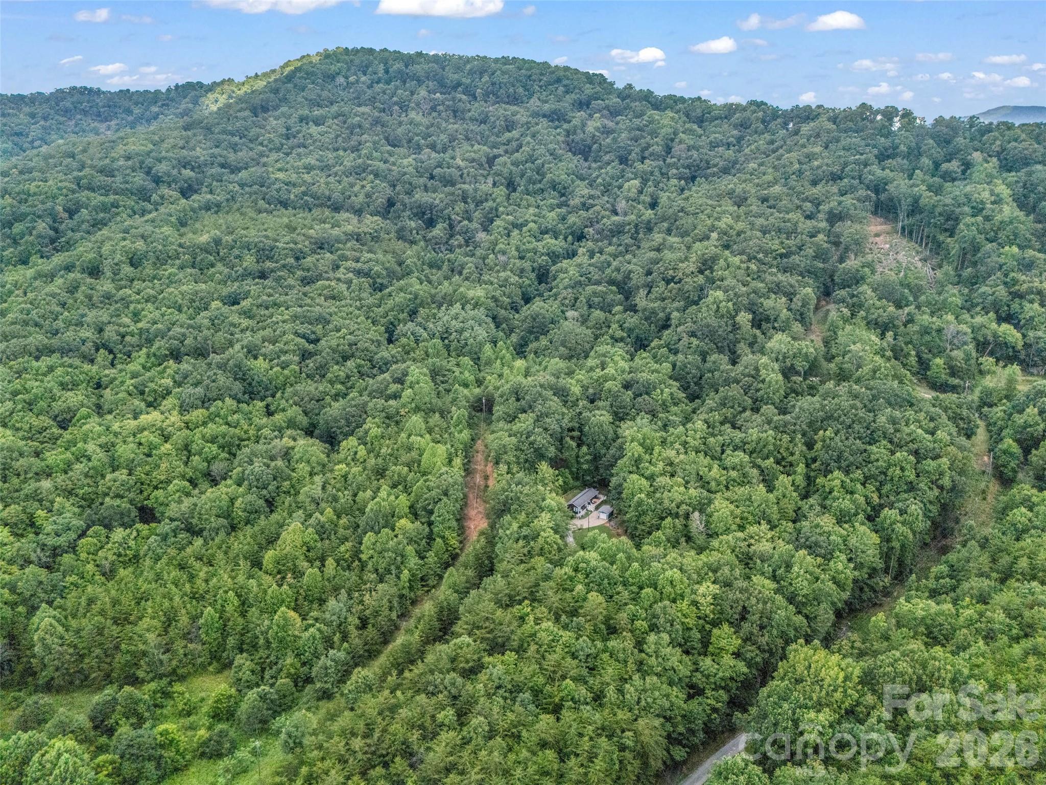 Lake Lure Living - Residential