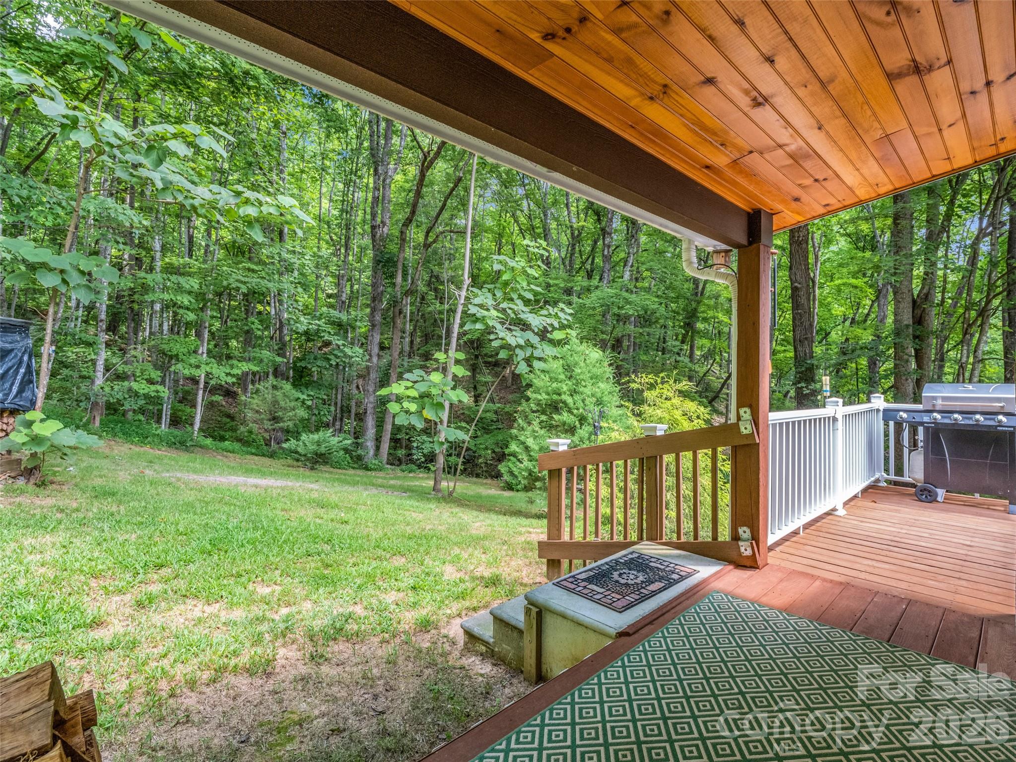 Lake Lure Living - Residential
