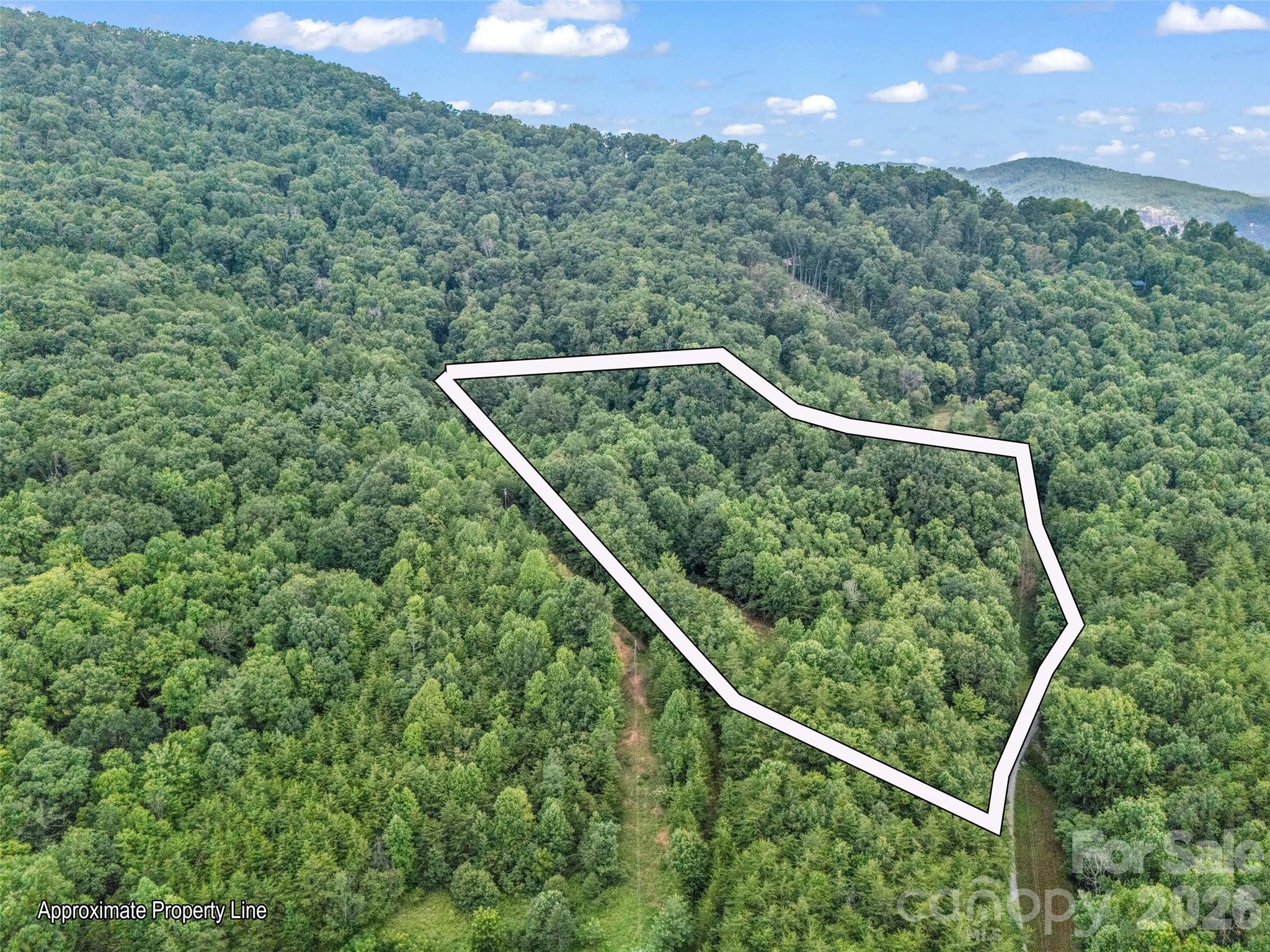 Lake Lure Living - Residential