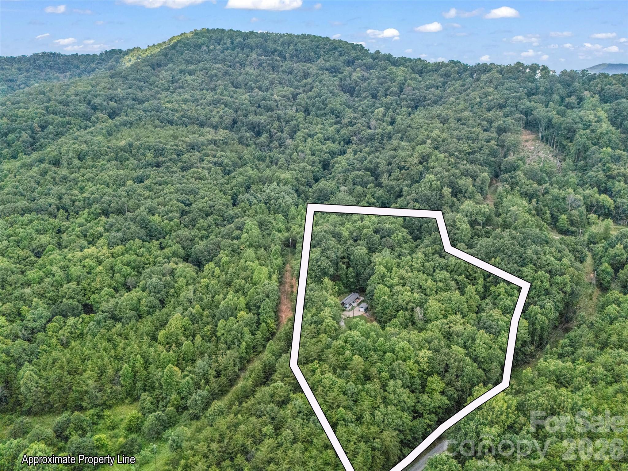 Lake Lure Living - Residential