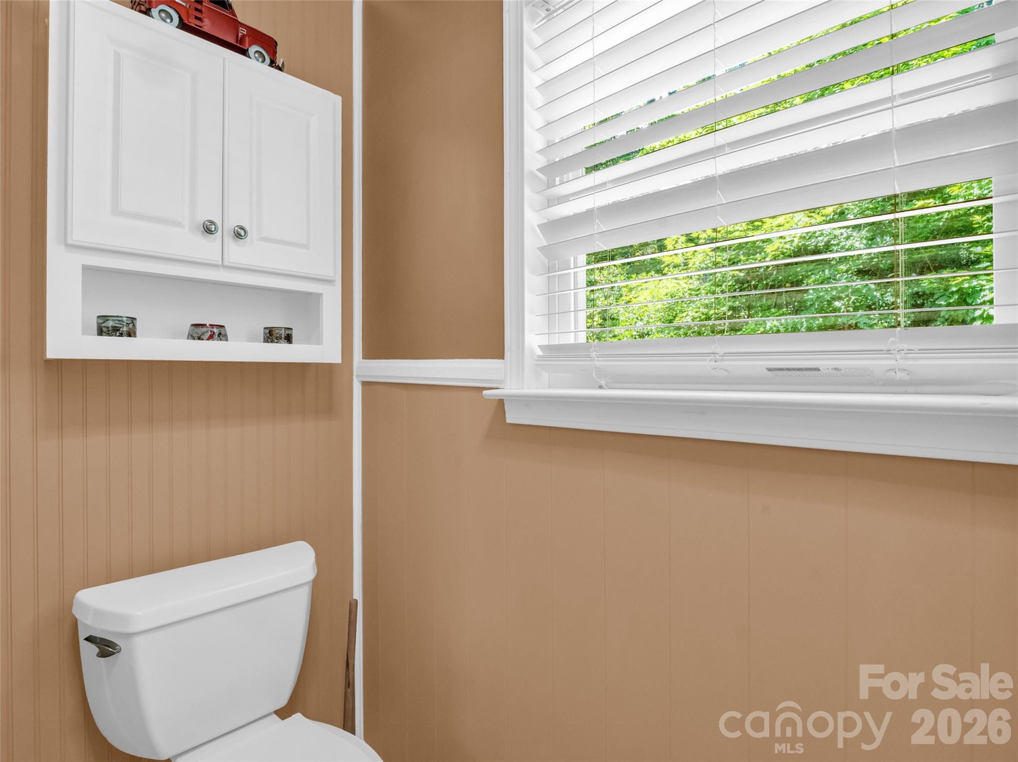 Lake Lure Living - Residential