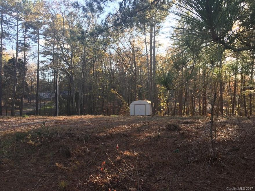Tucked away residential lot on cul-de-sac street right off Hwy 21 less than 10 minutes to I-77 in peaceful Catawba community. Partially cleared/treed lot with Special Exemption granted by York county for this lot with compliance to county permits/restrictions.  Assigned to York County Schools. Ideal setting to call home!  Lot Dimensions available upon request.  All information deemed reliable but should be verified by buyer.