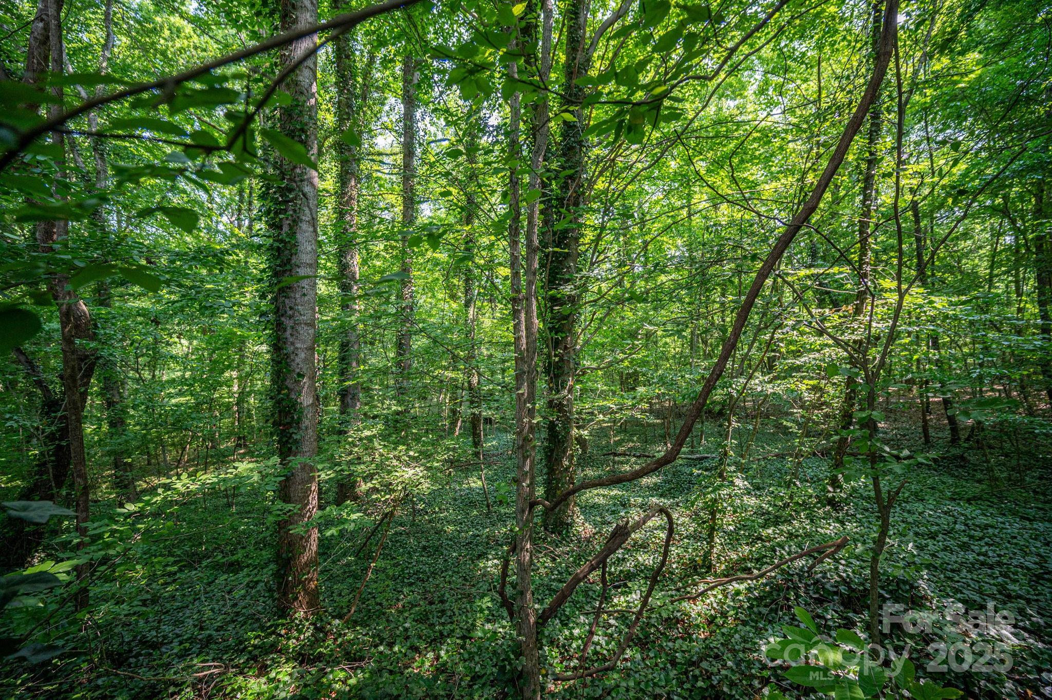 812 Trinity Lane