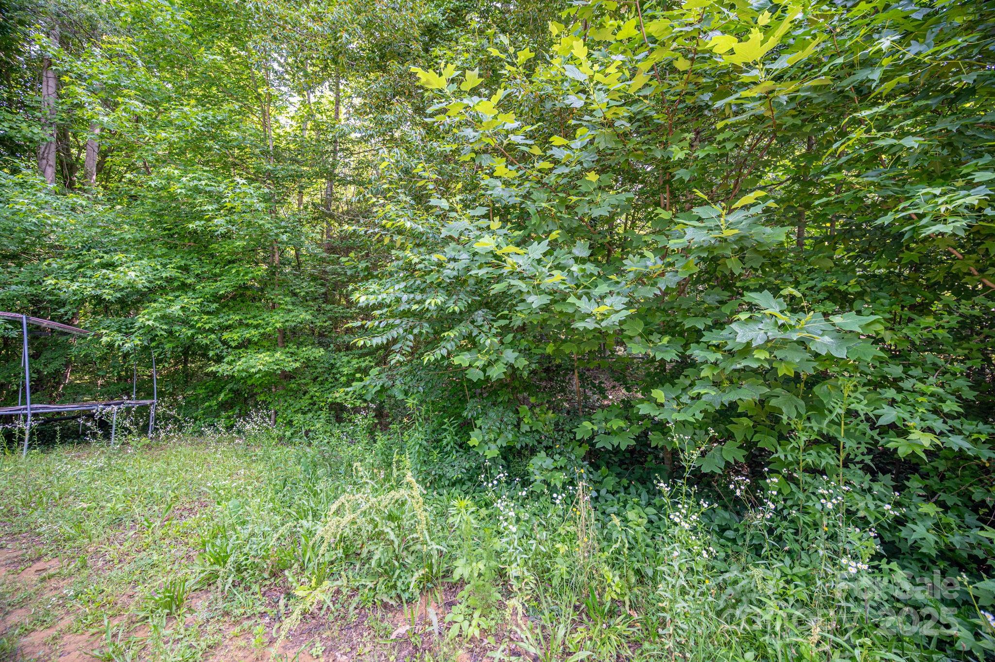 812 Trinity Lane