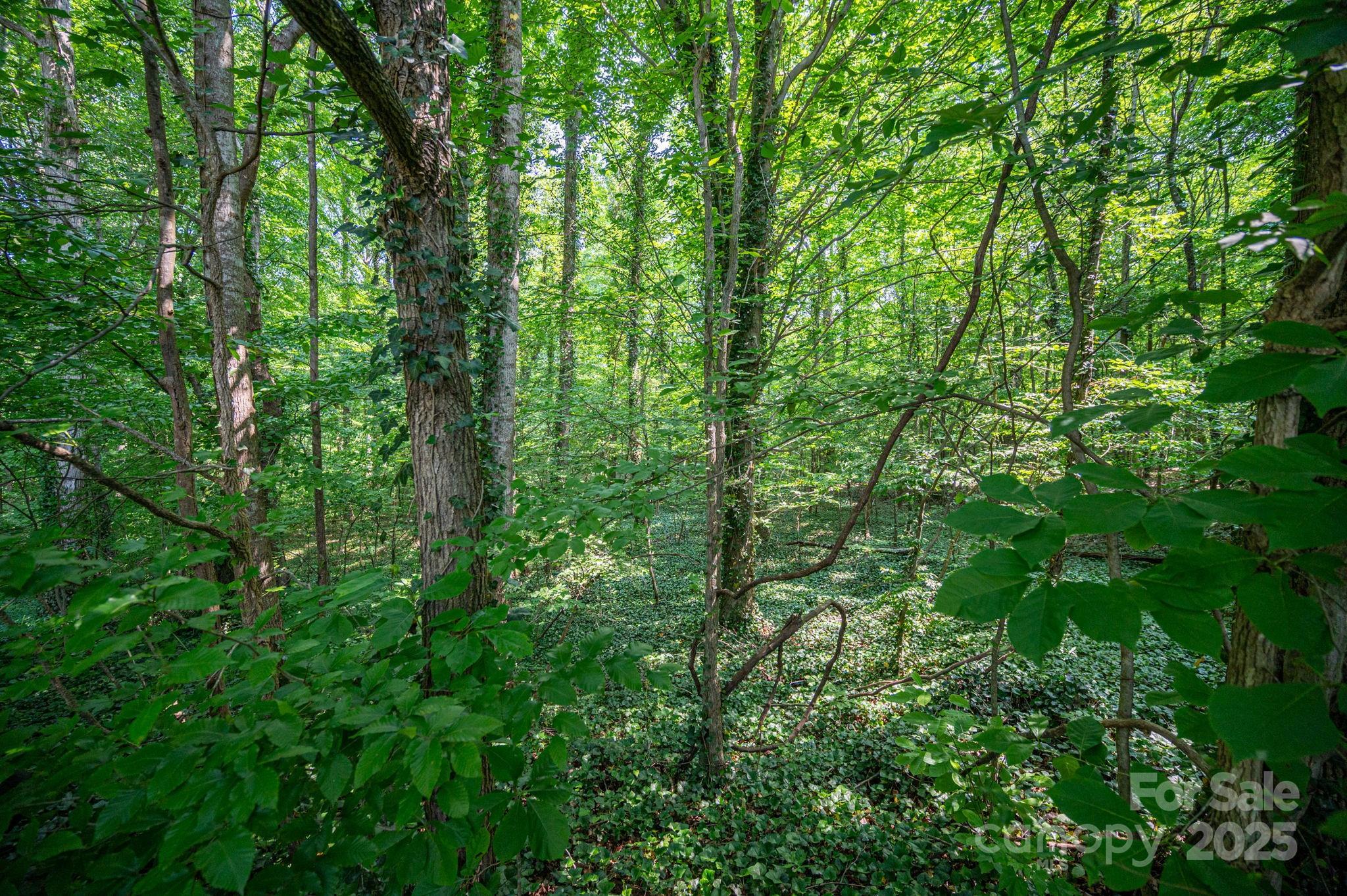 812 Trinity Lane