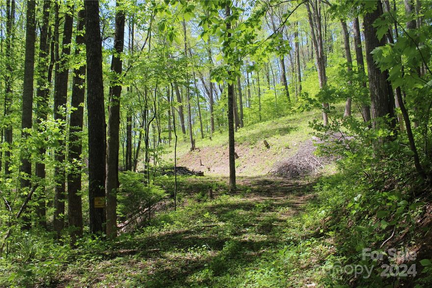 Nestled on 3.07 acres of enchanting terrain, this picturesque piece of land offers a harmonious blend of natural beauty and potential. The landscape boasts a subtle woodland charm, with scattered trees providing a tranquil backdrop to the gently rolling contours of the terrain.
Ready to accommodate your dream home or weekend retreat, this property comes equipped with the convenience of two electrical poles already in place, along with a 3-bedroom septic system installed, ensuring a smooth transition for your building plans. While a well is needed to complete the utilities, there are no known restrictions, granting you the freedom to bring your vision to life without limitations.
Whether you envision a cozy cabin surrounded by nature or a sprawling estate with room to roam, this blank canvas presents endless possibilities for creating your ideal sanctuary. Embrace the serenity of rural living while enjoying convenient access to nearby amenities and attractions. Please NO Drive-bys.