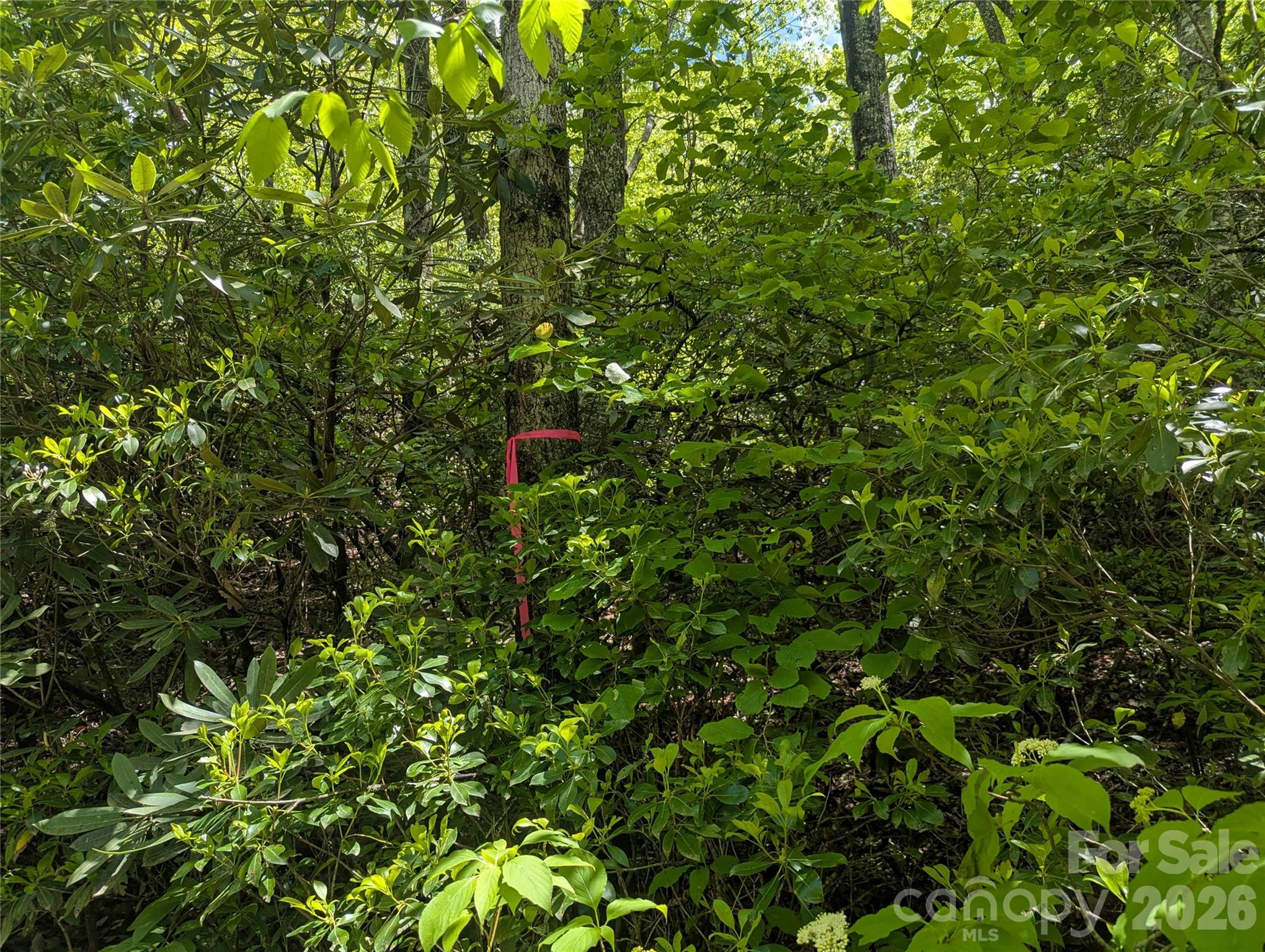 99999 Prospectors Trail