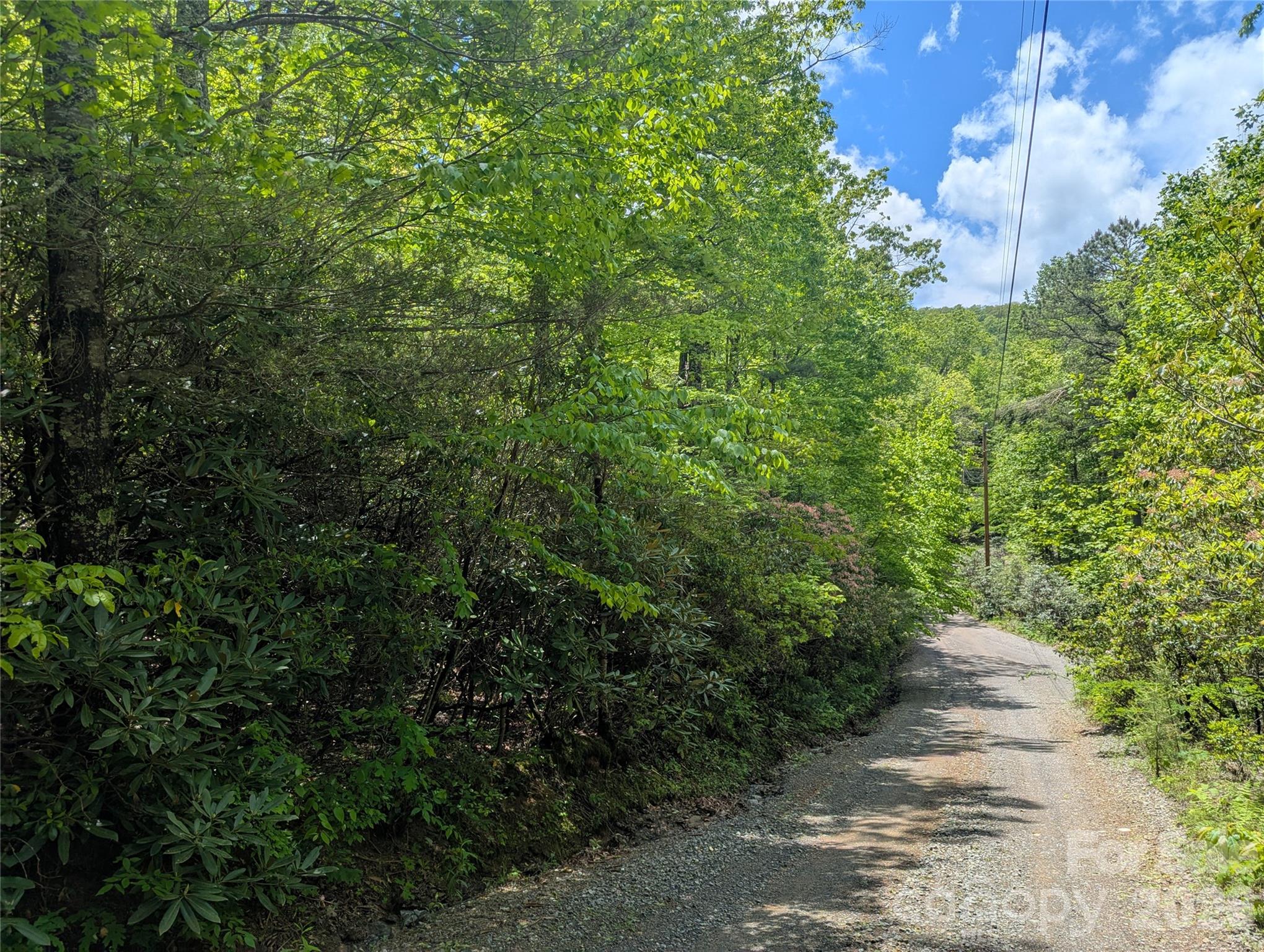 99999 Prospectors Trail