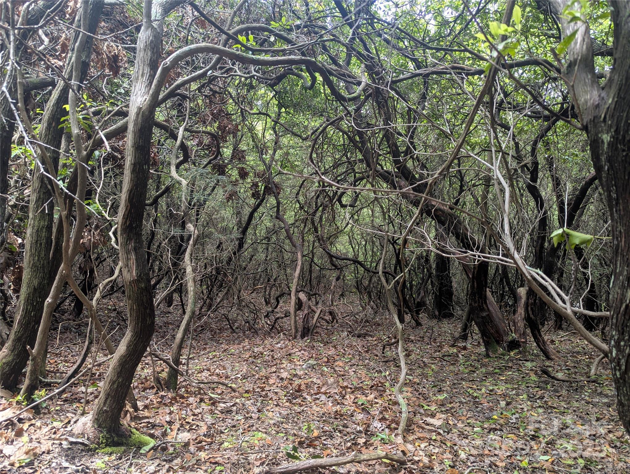 99999 Prospectors Trail