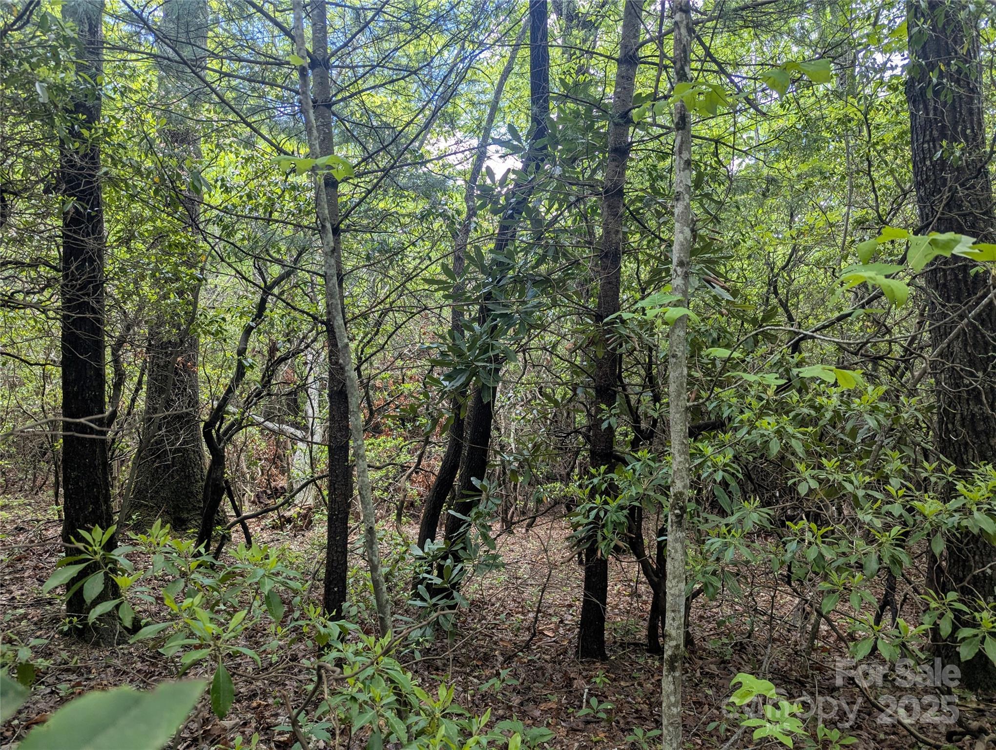 99999 Prospectors Trail