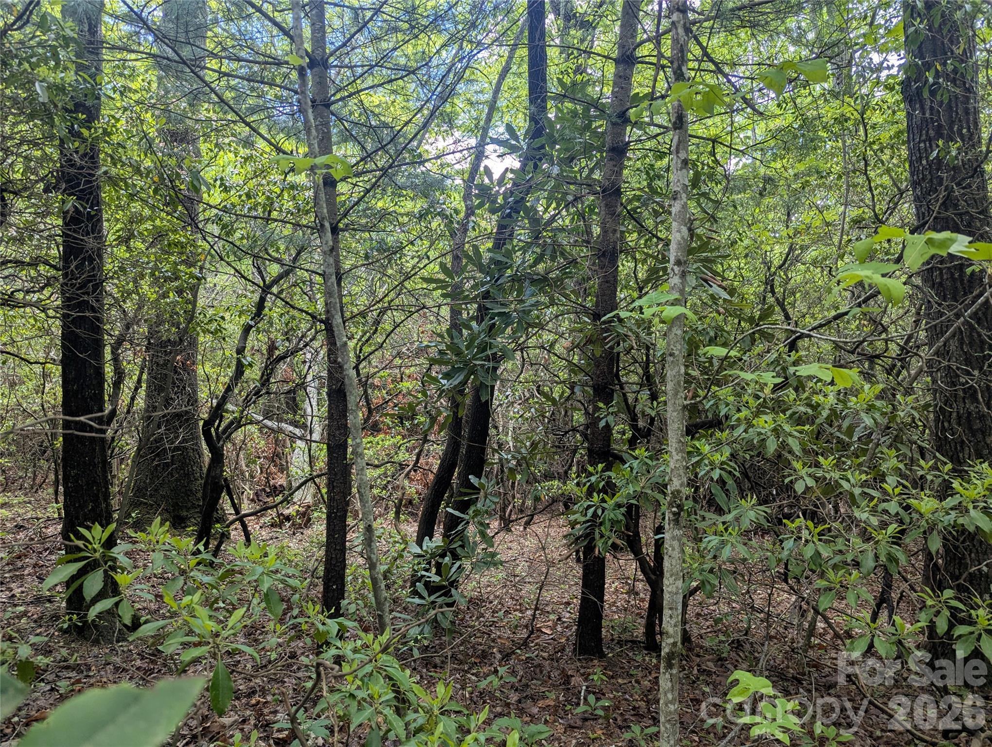 99999 Prospectors Trail