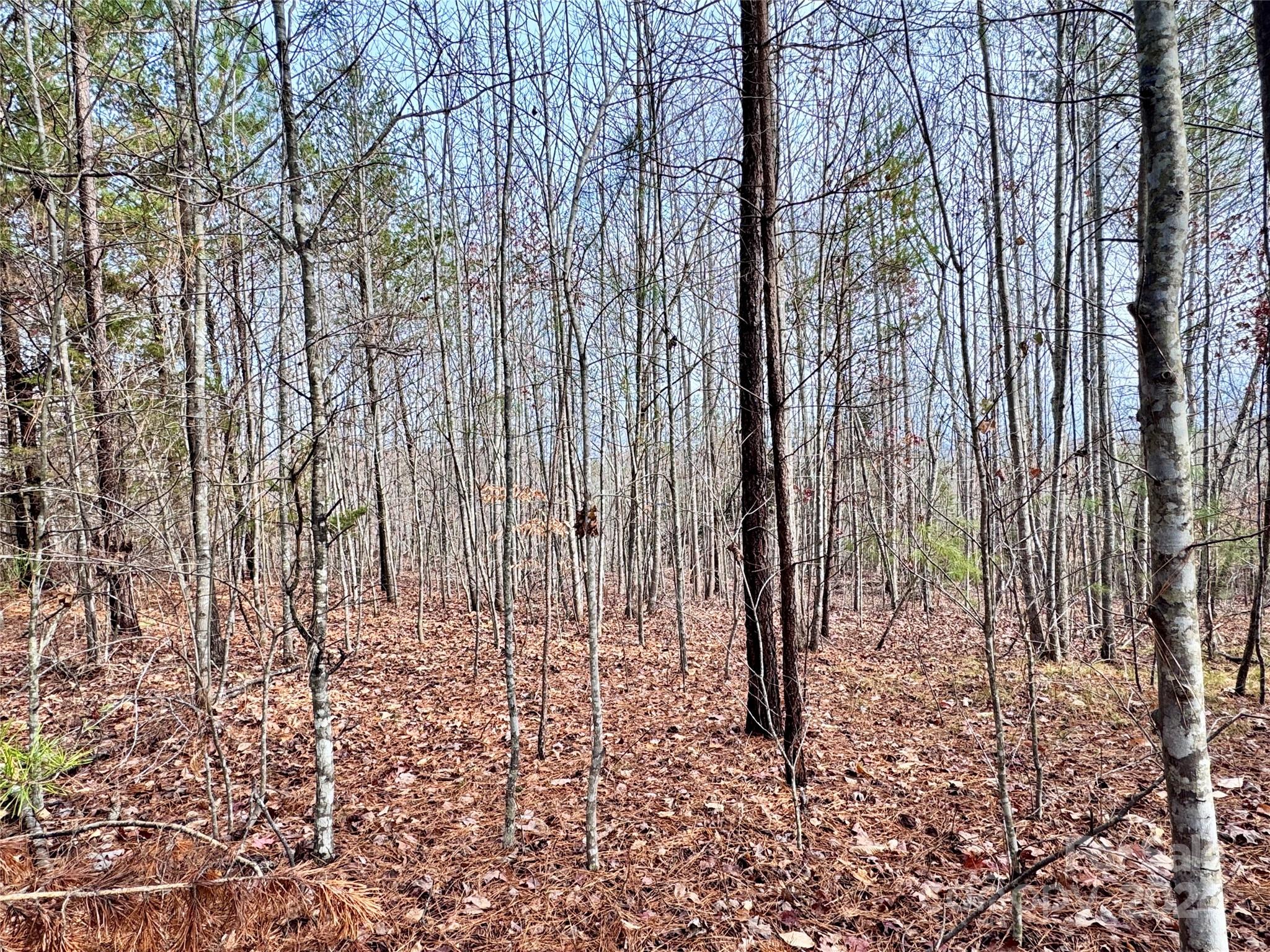 Pleasant View - Land